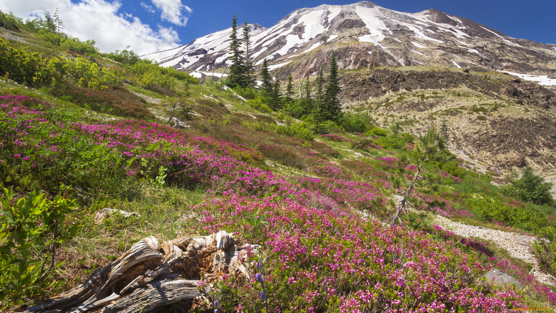 природа, горы, простор