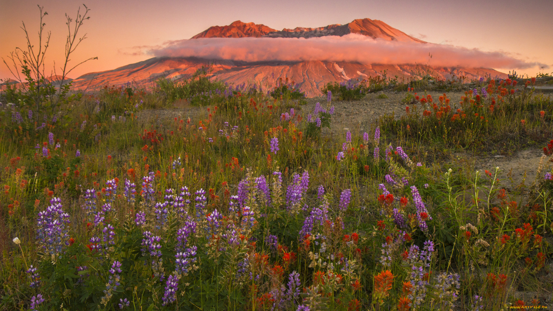 природа, горы, простор