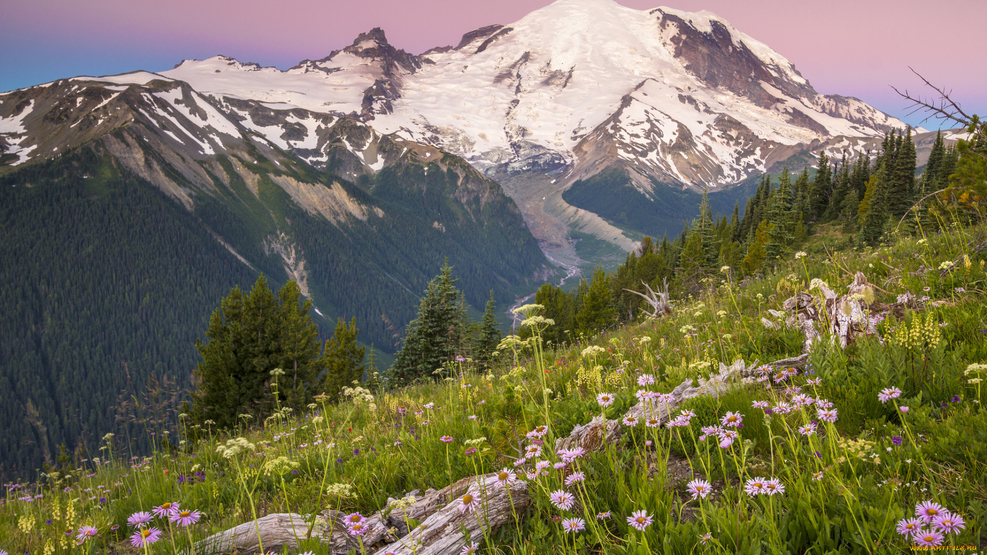 природа, горы, простор