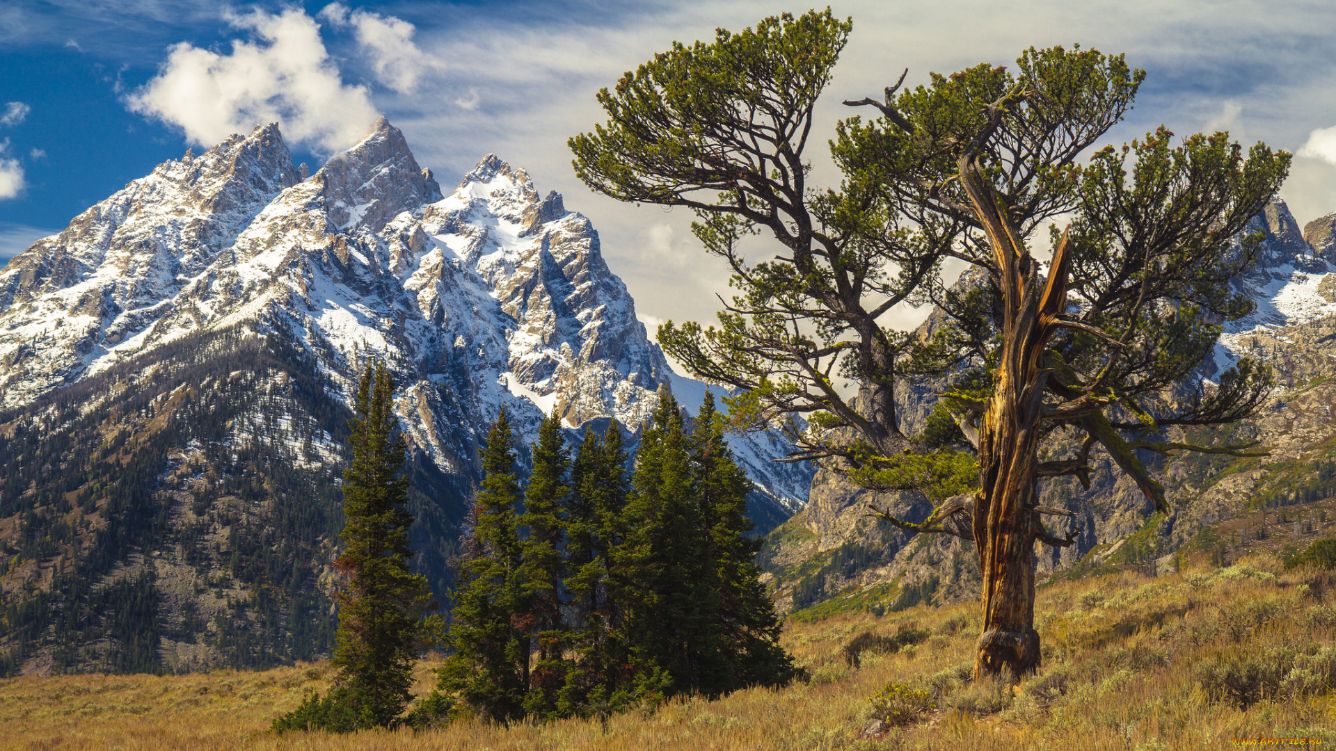 природа, горы, простор