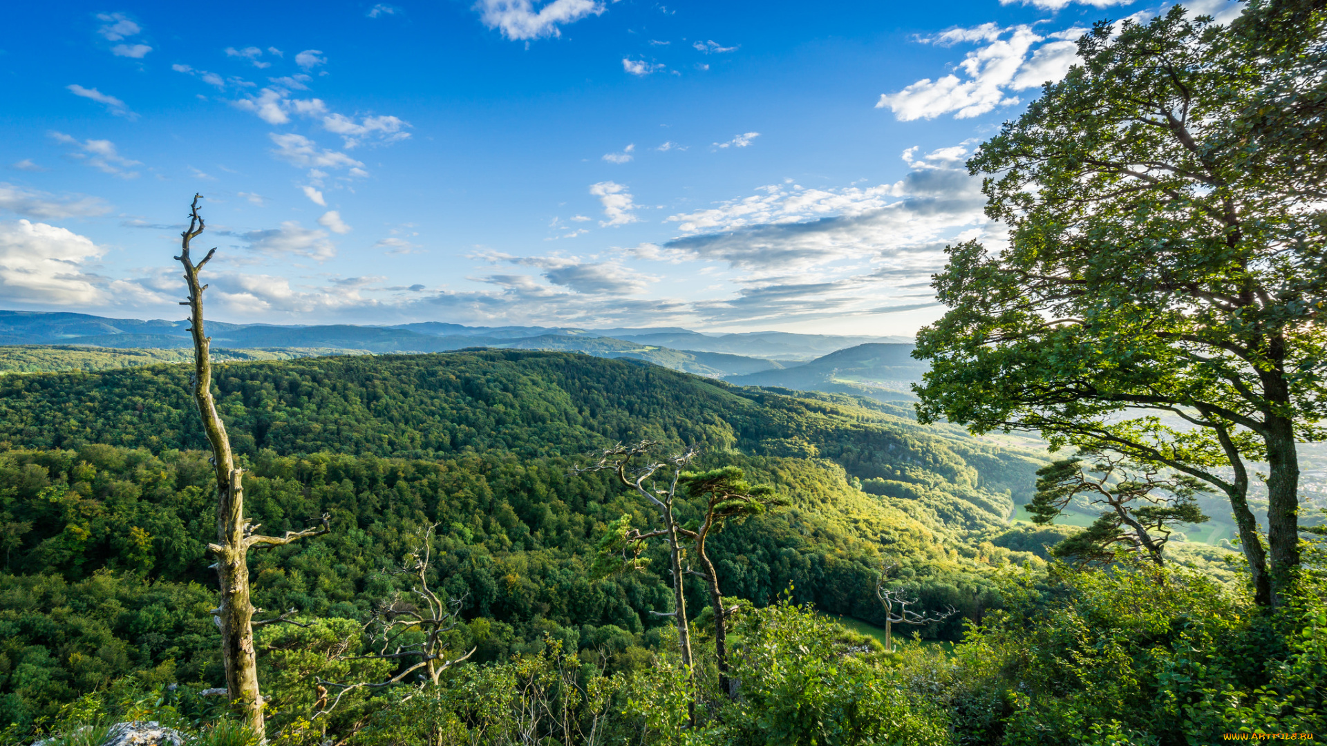 природа, пейзажи, простор
