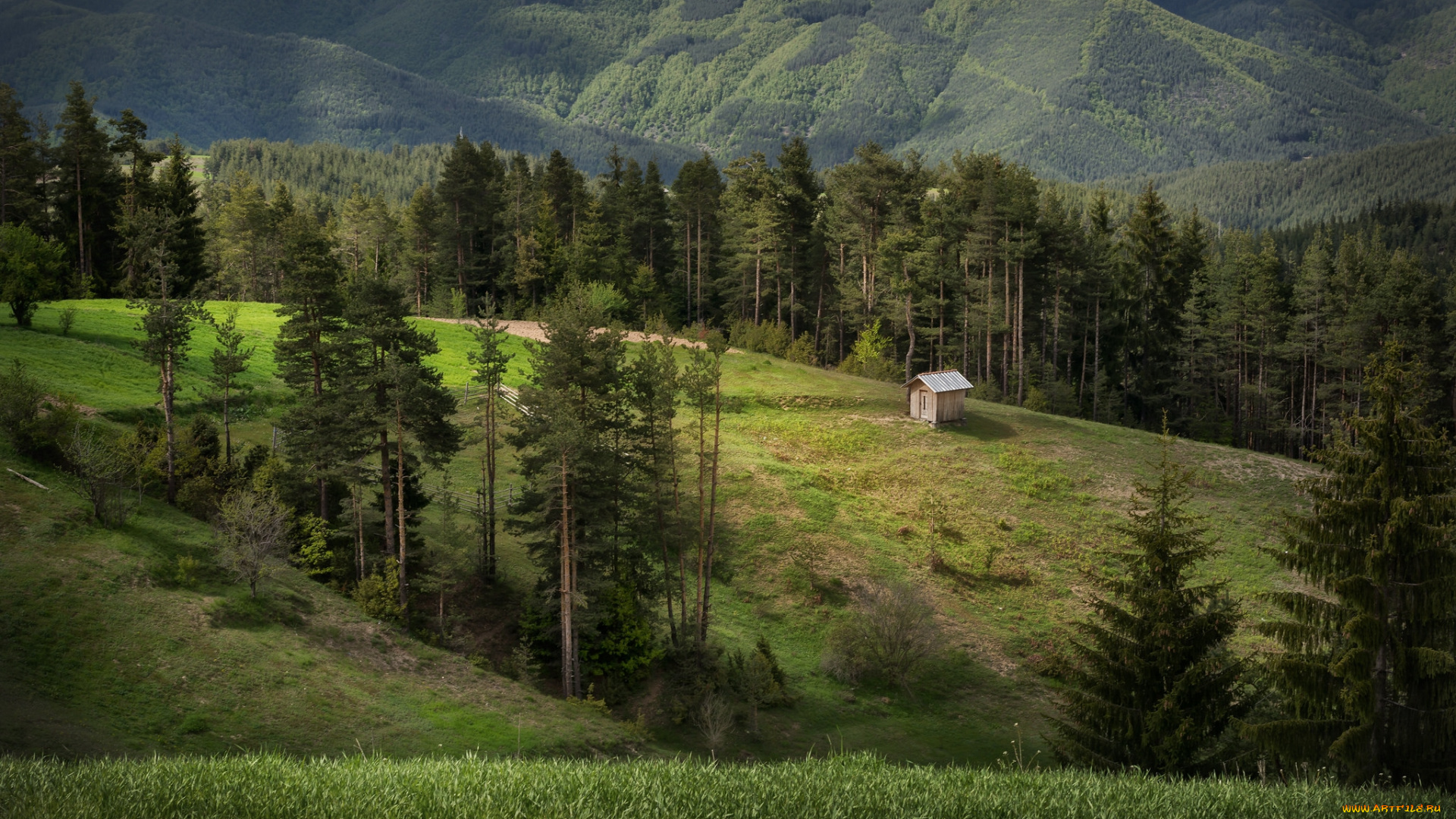 природа, пейзажи, простор