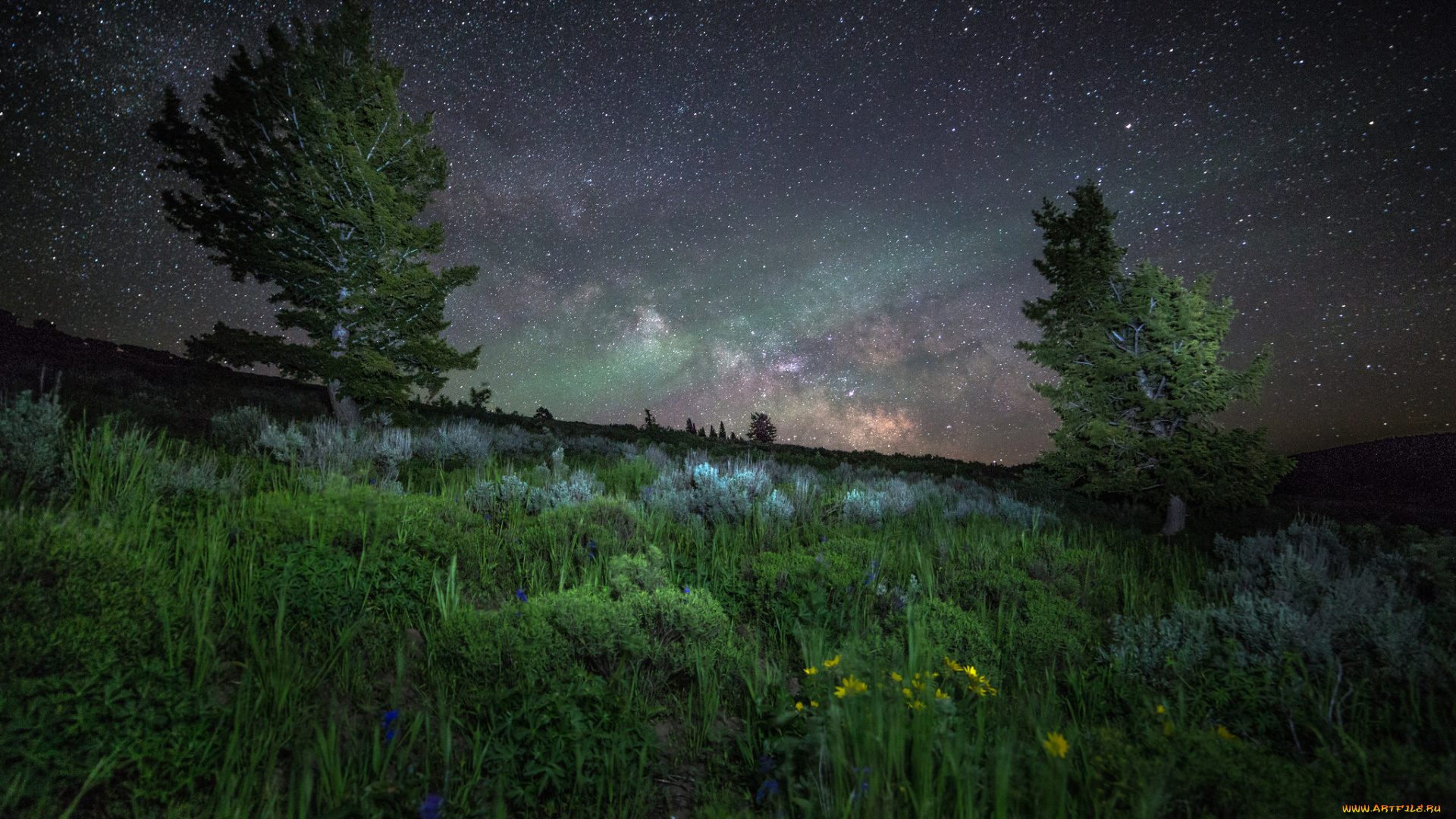 природа, пейзажи, простор