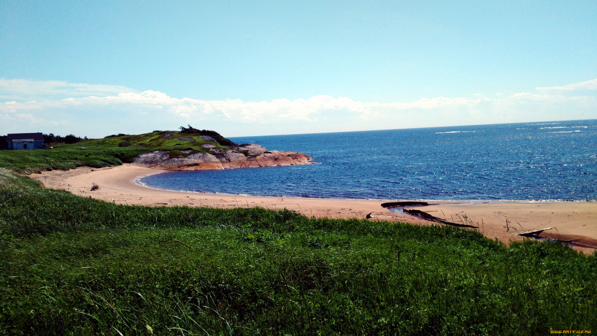 природа, побережье, трава, песок, море, берег