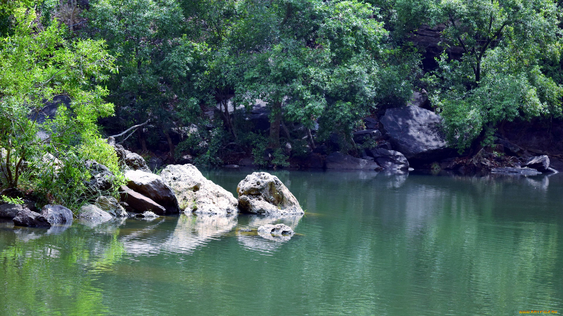 природа, реки, озера, деревья, река, камни