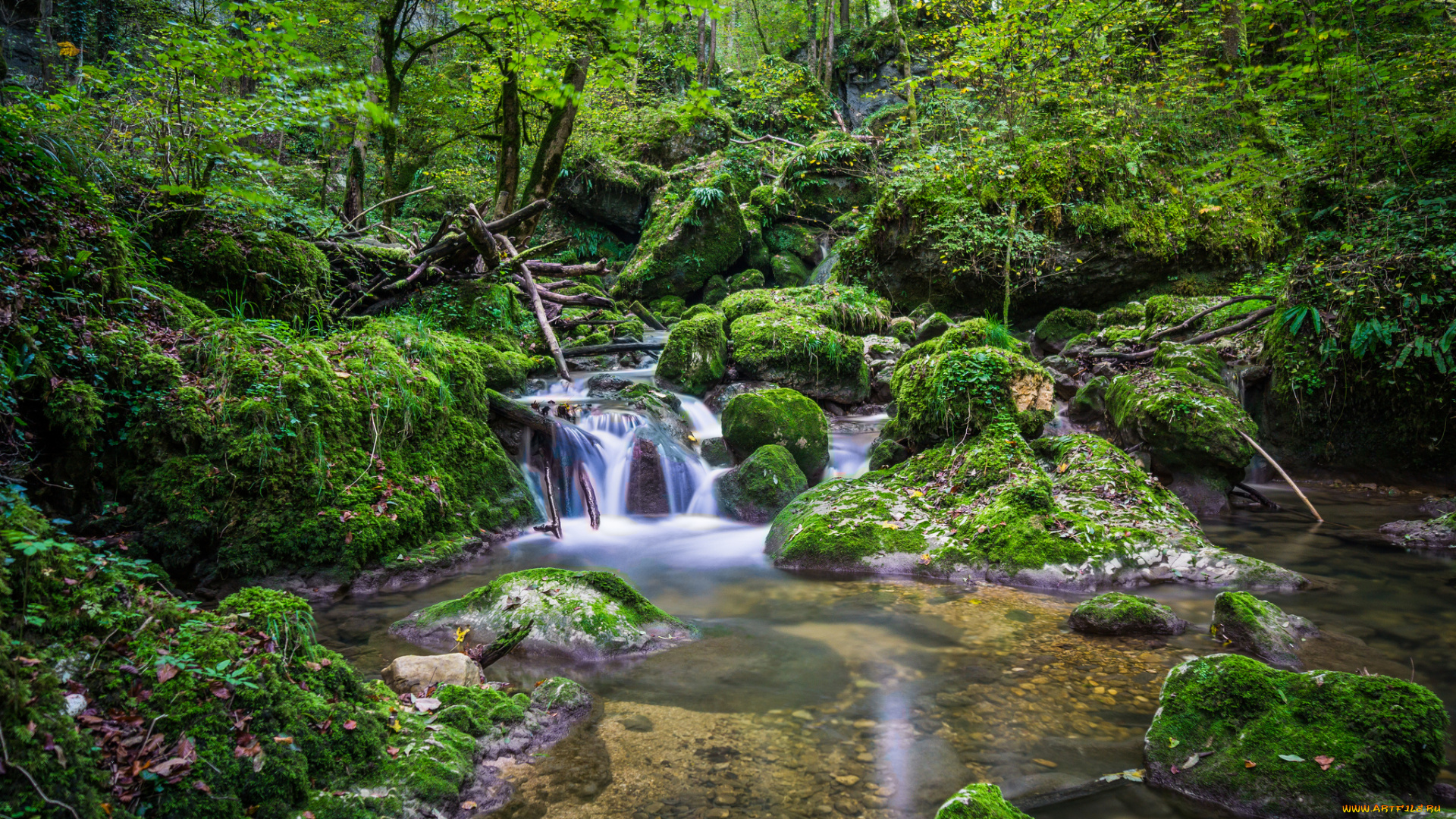 природа, реки, озера, простор