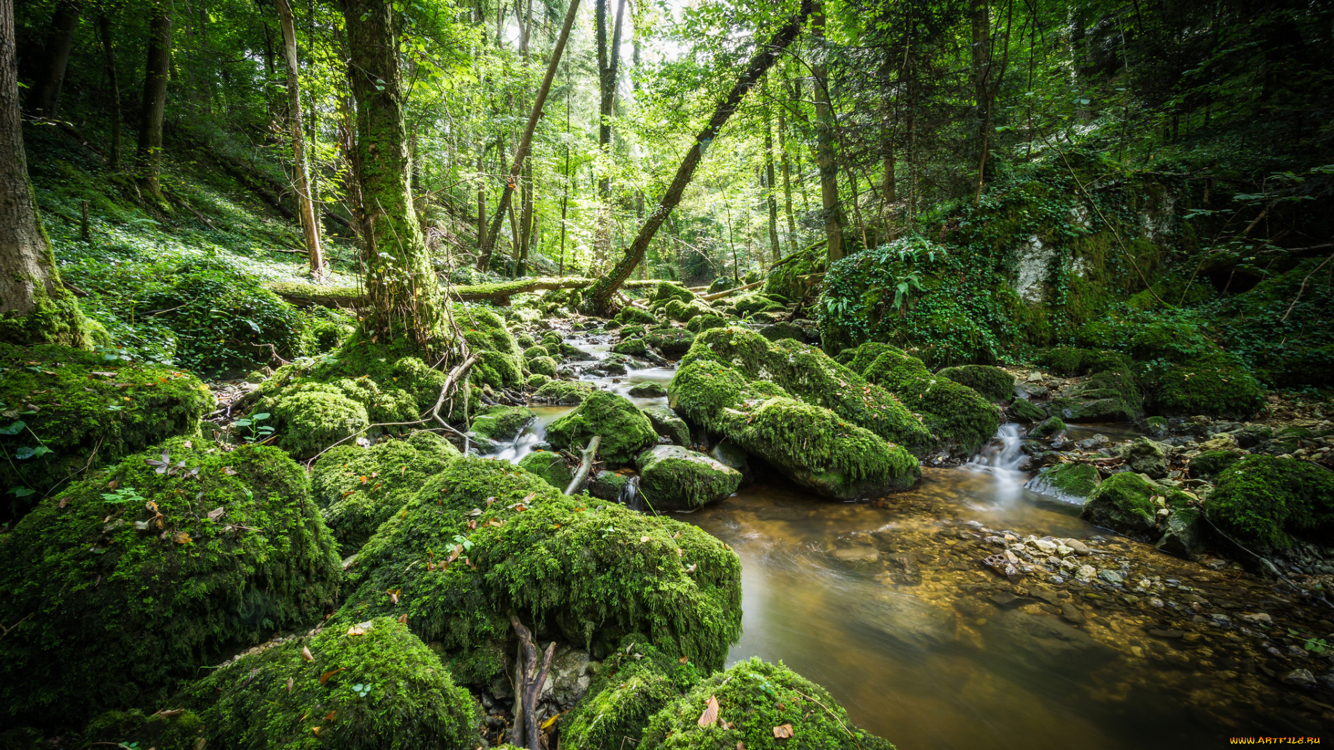 природа, реки, озера, простор