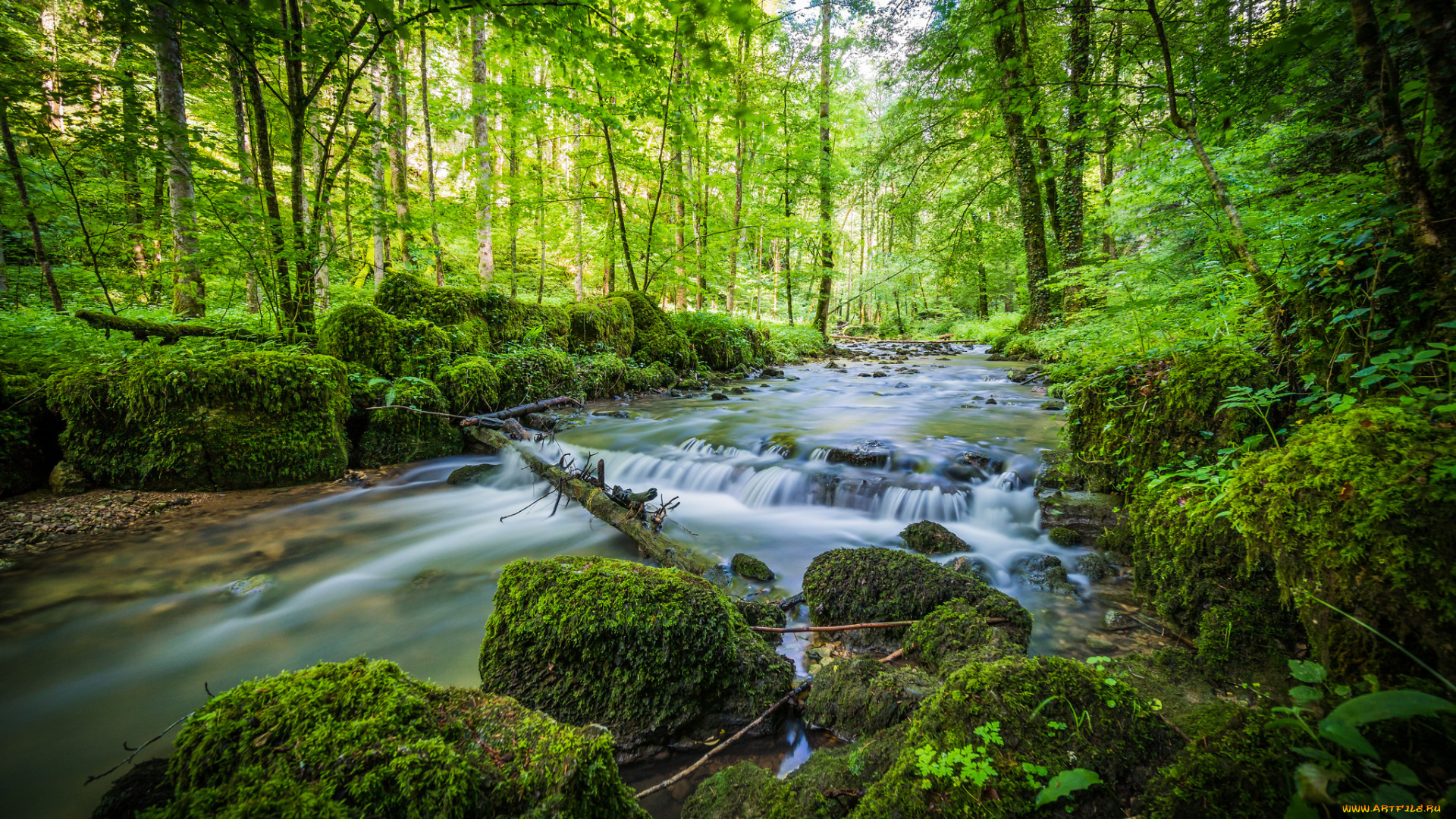 природа, реки, озера, простор