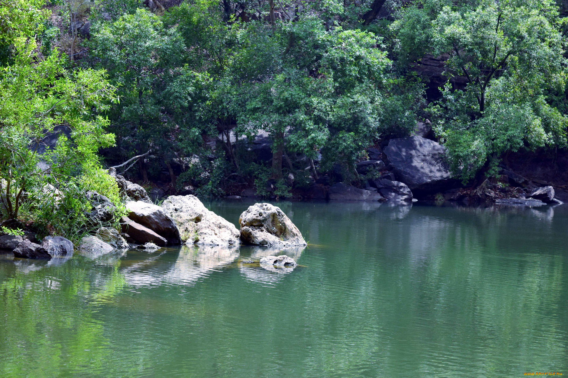 природа, реки, озера, деревья, река, камни