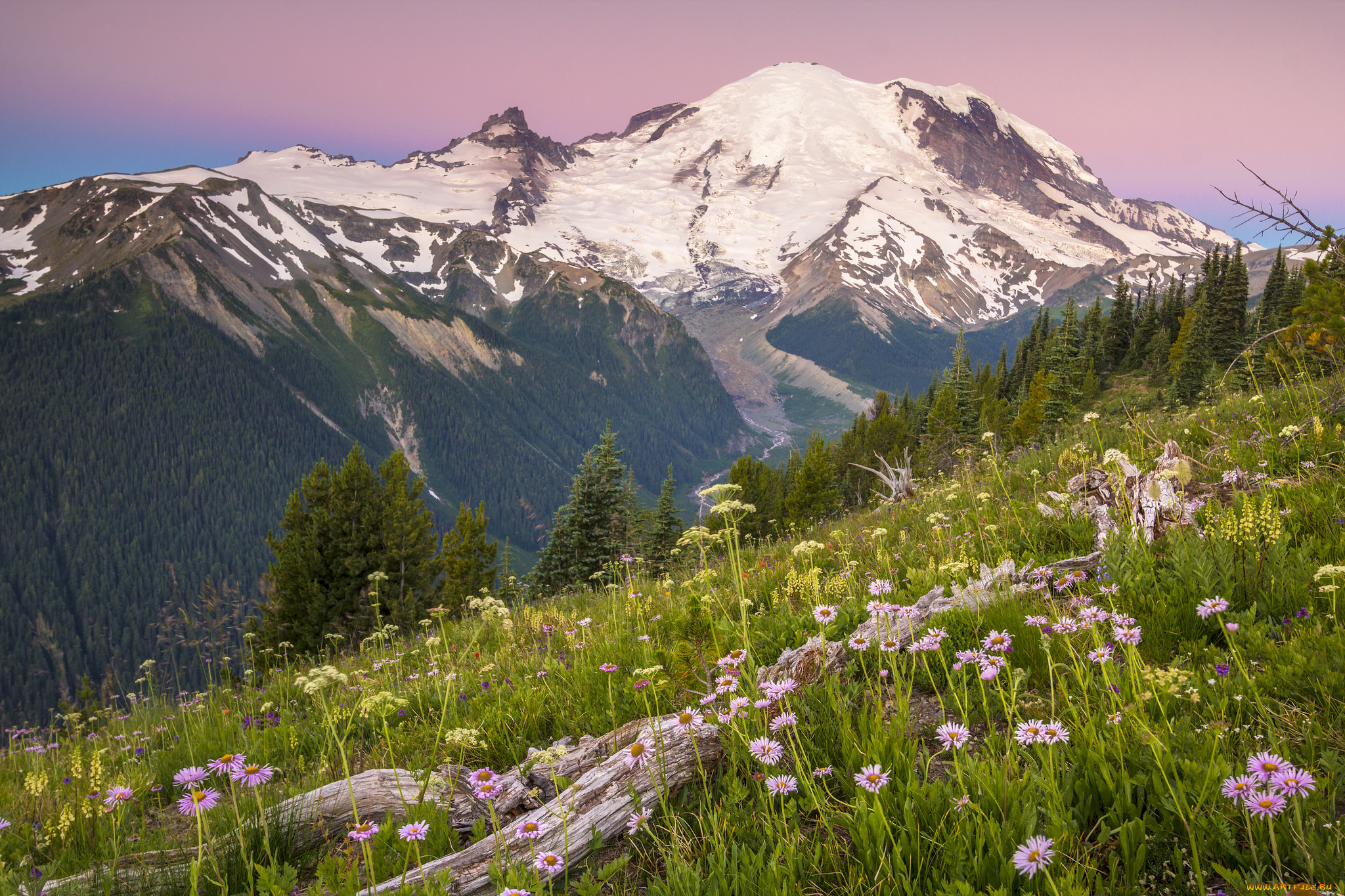 природа, горы, простор