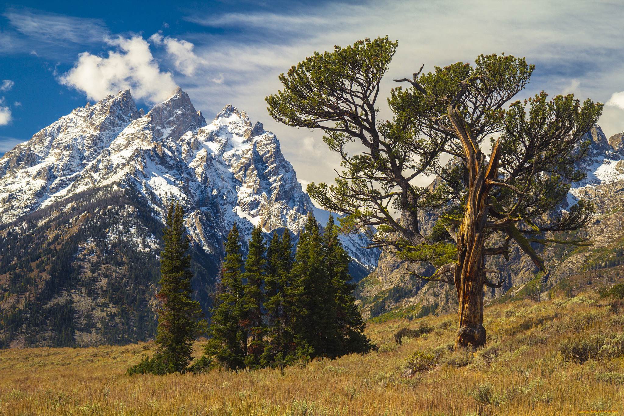 природа, горы, простор