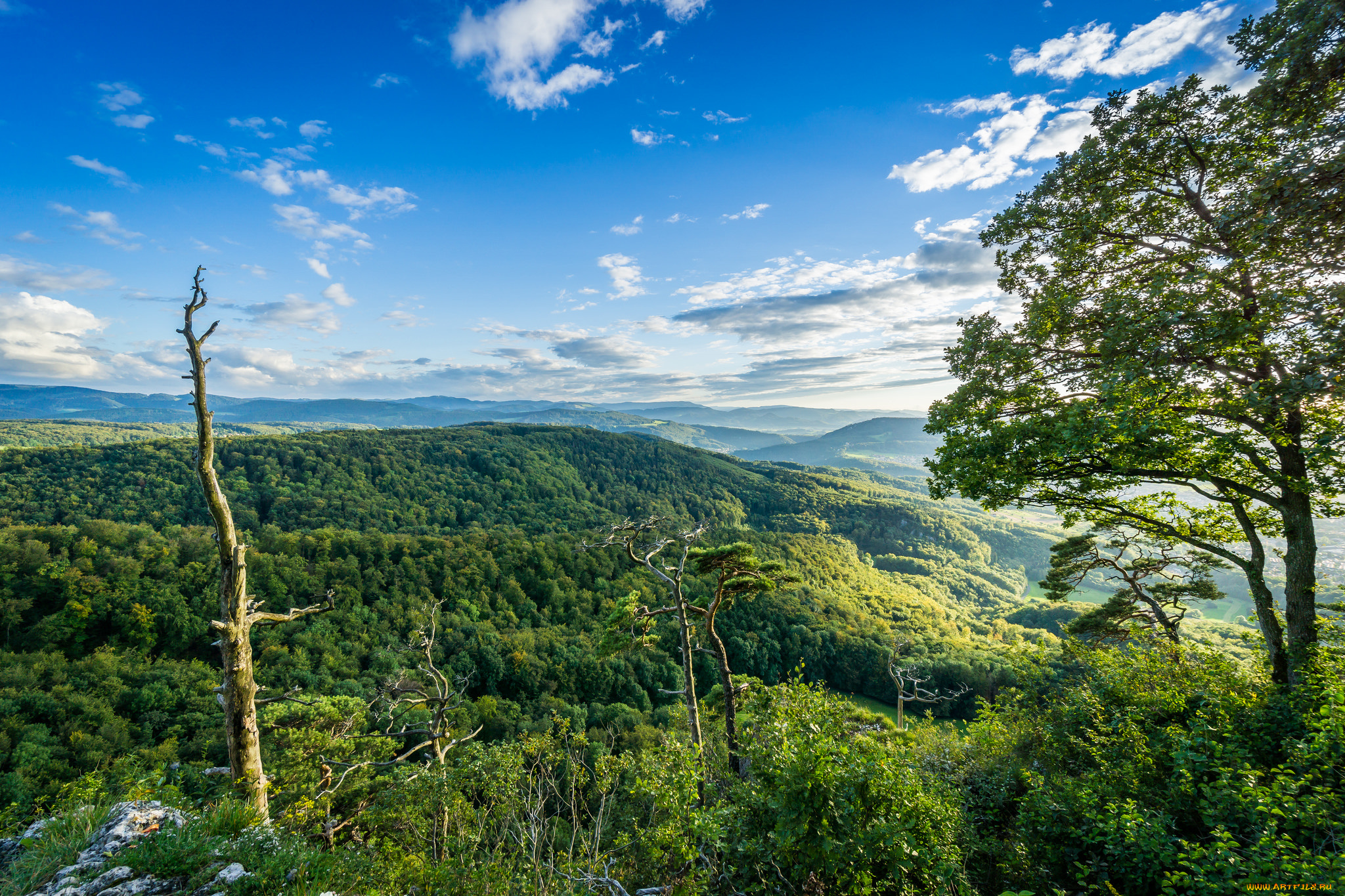 природа, пейзажи, простор