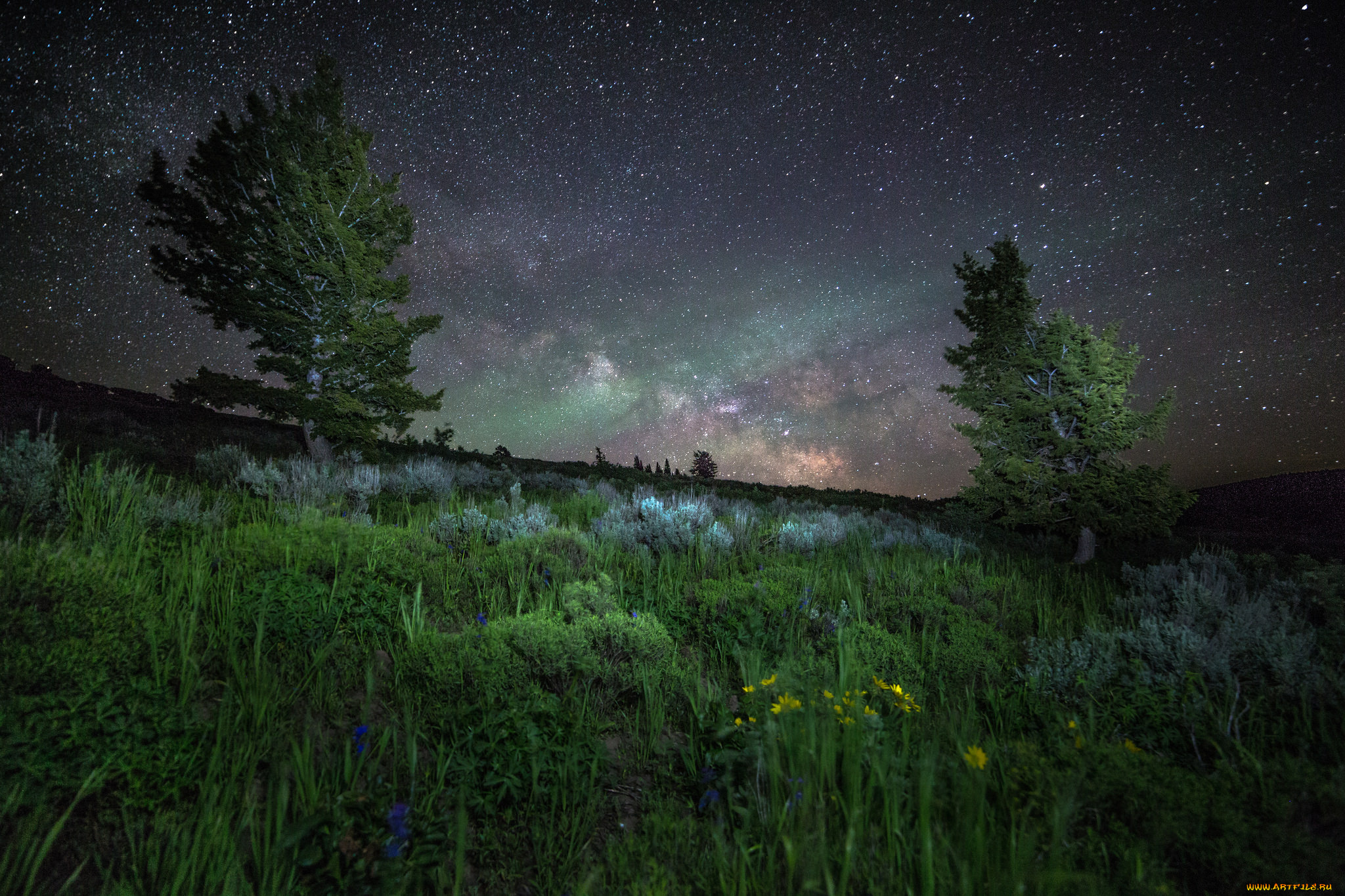 природа, пейзажи, простор