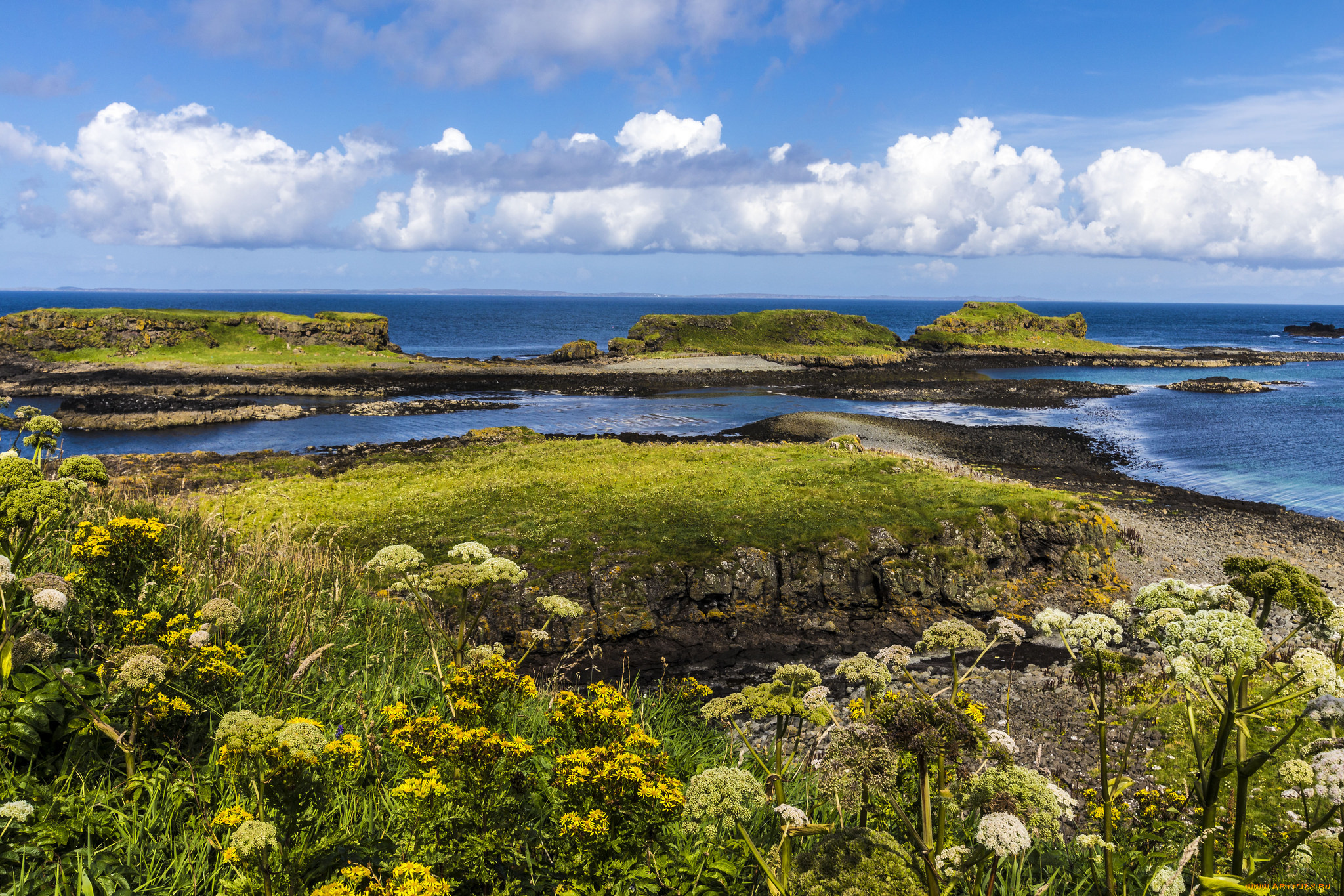 природа, побережье, простор