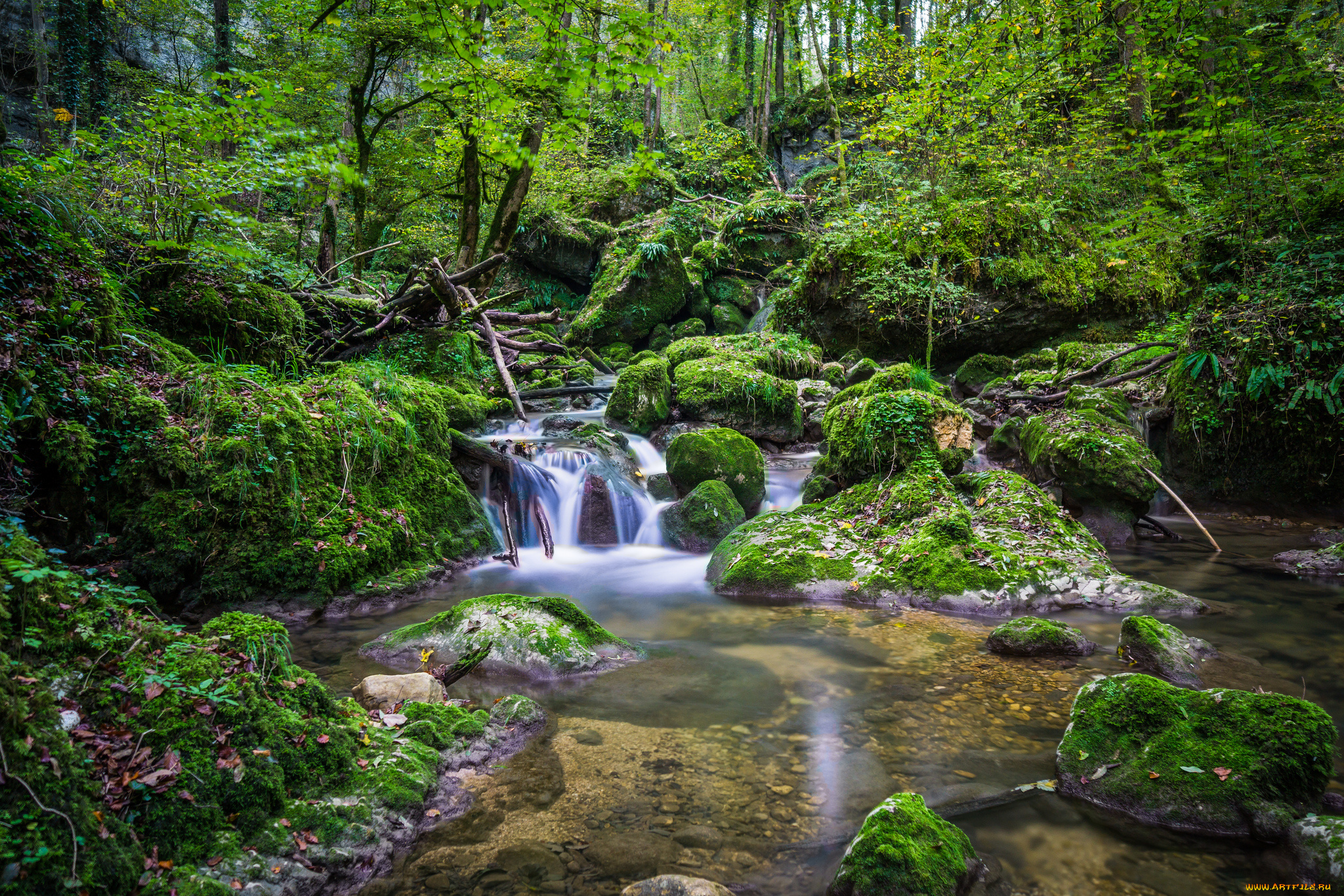 природа, реки, озера, простор