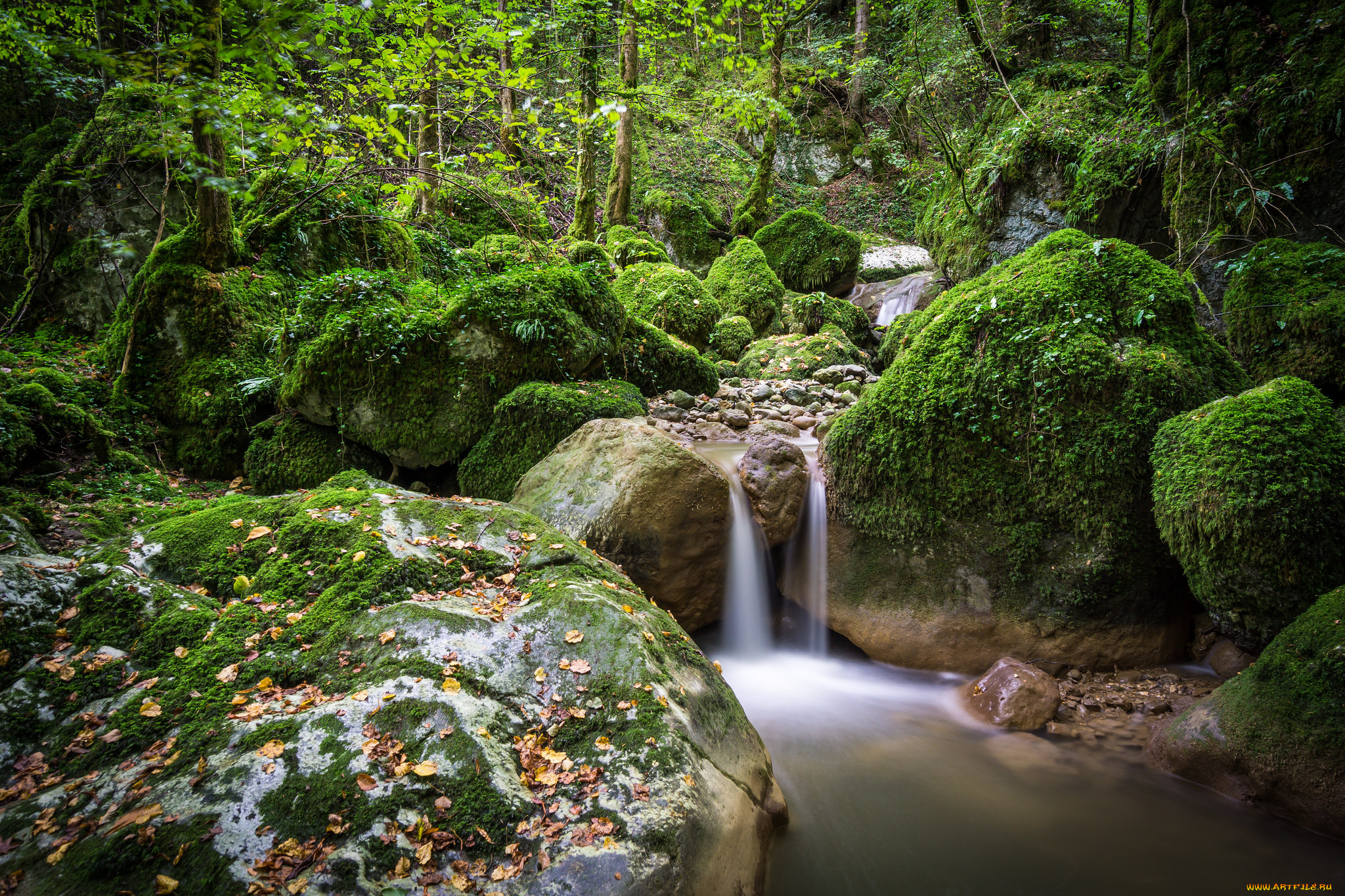 природа, реки, озера, простор