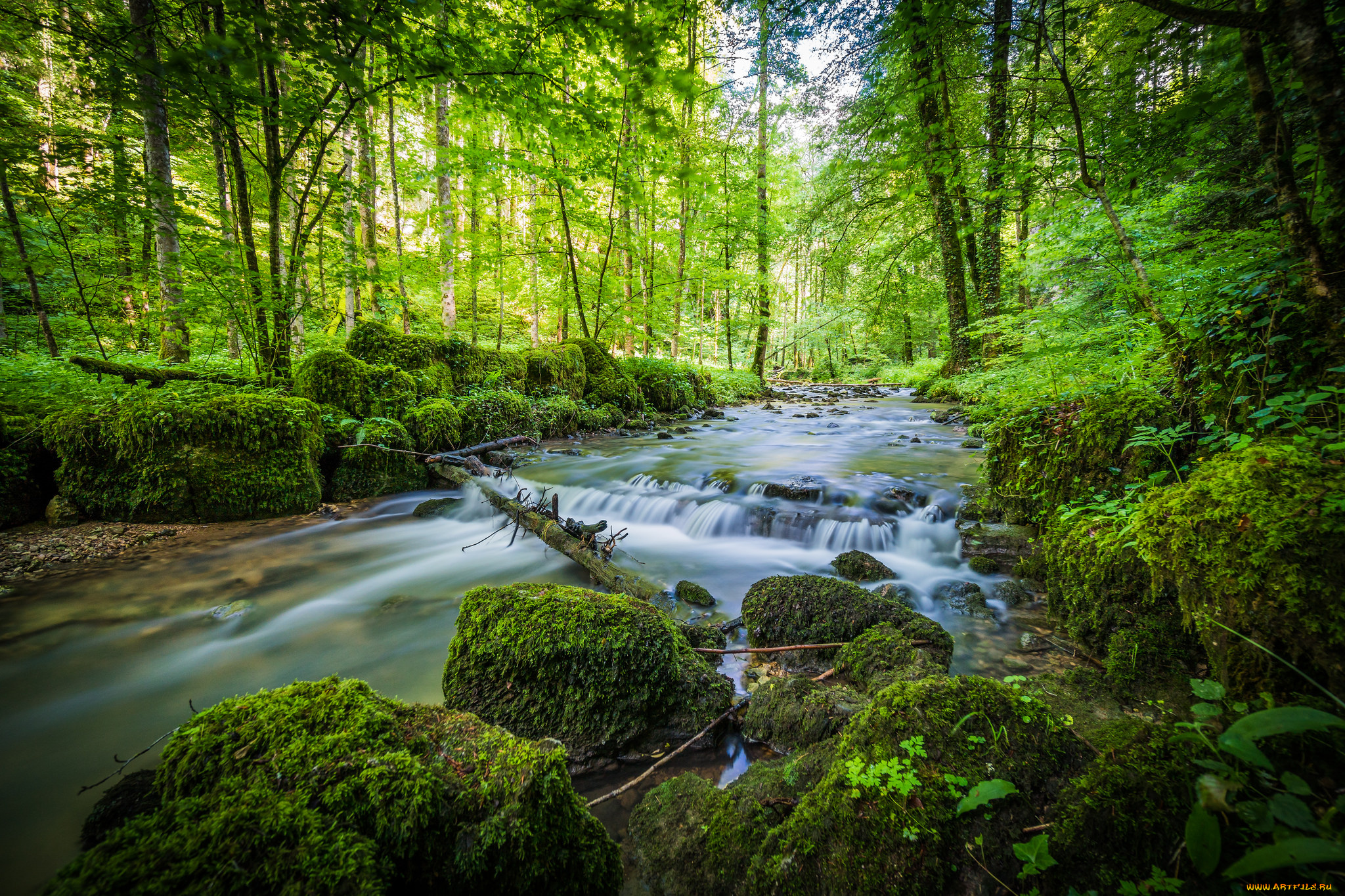 природа, реки, озера, простор