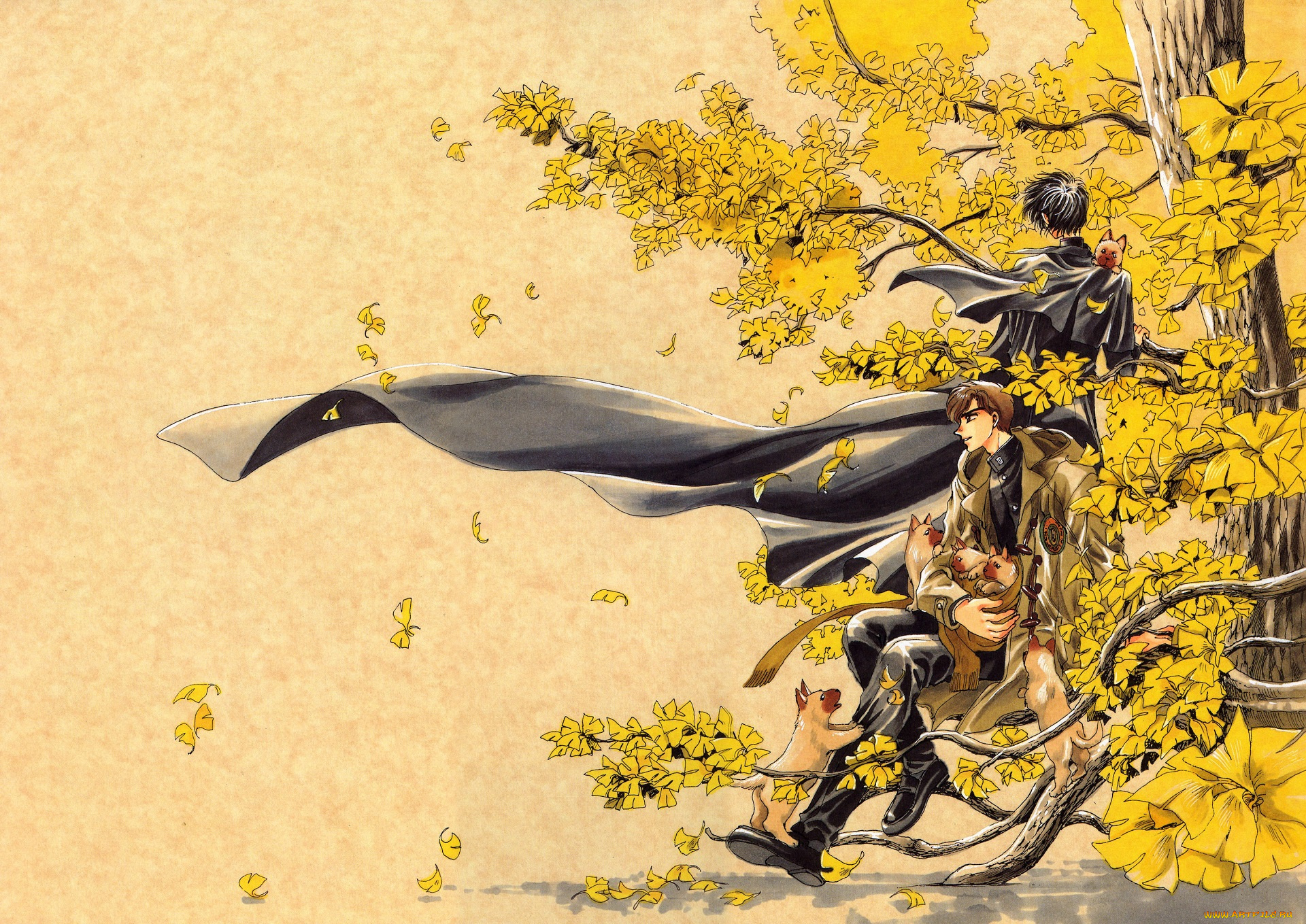 аниме, собаки, парни