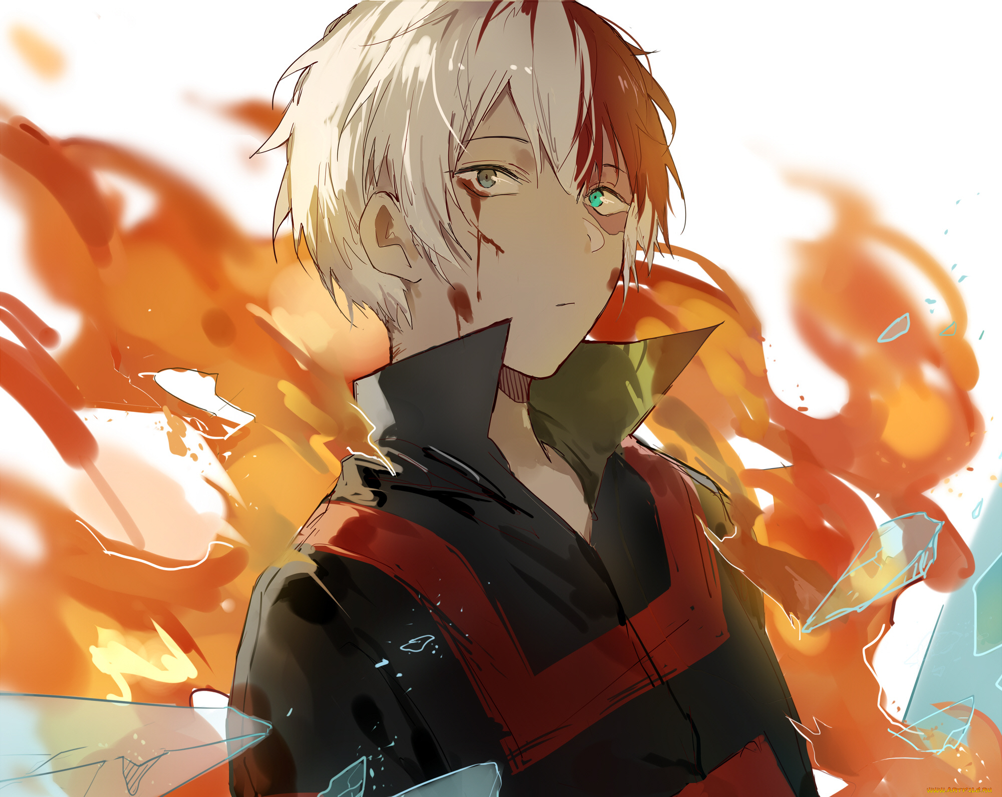 аниме, boku, no, hero, academia, шото