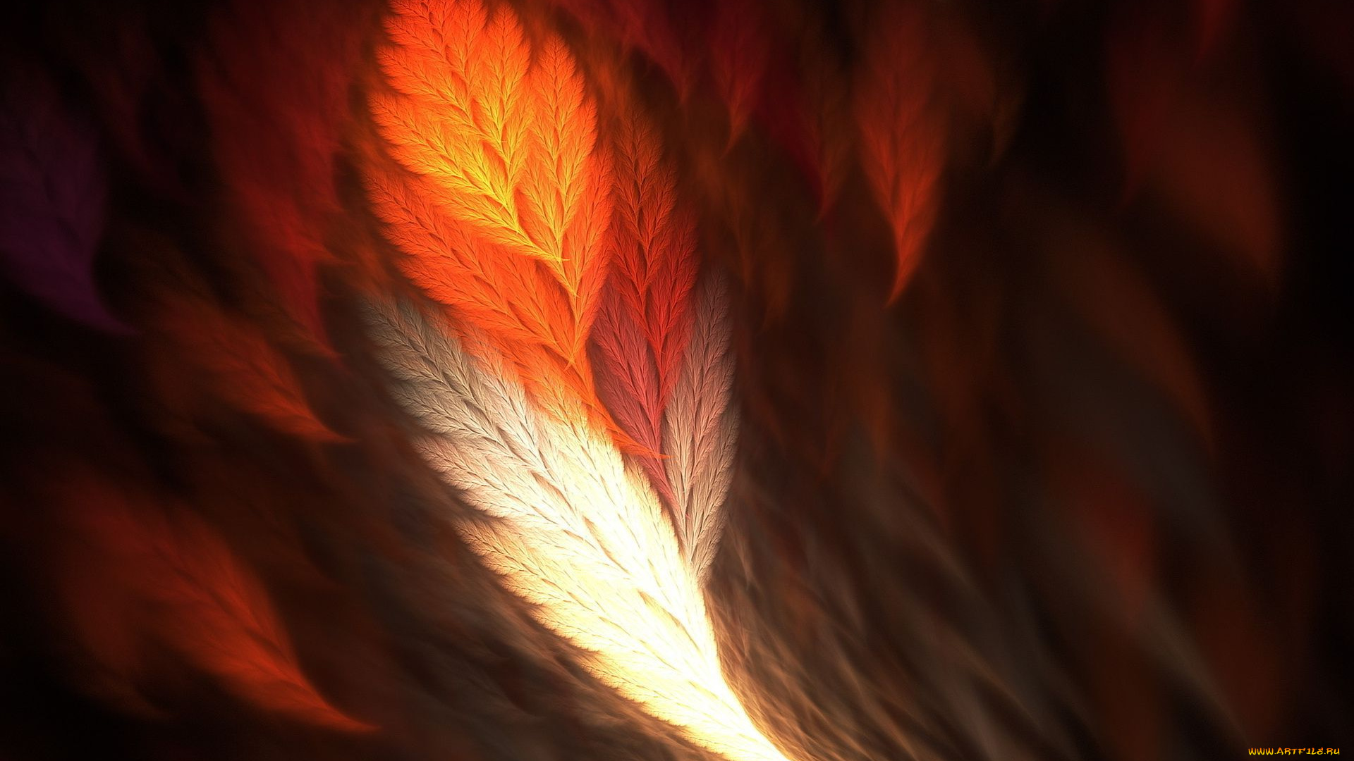 3д, графика, другое, , other, перо, свет