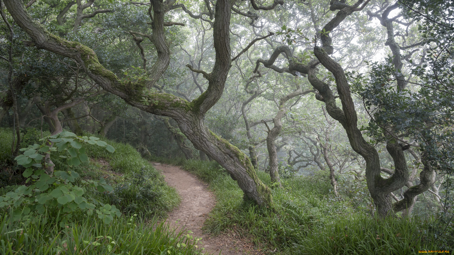 природа, дороги, простор