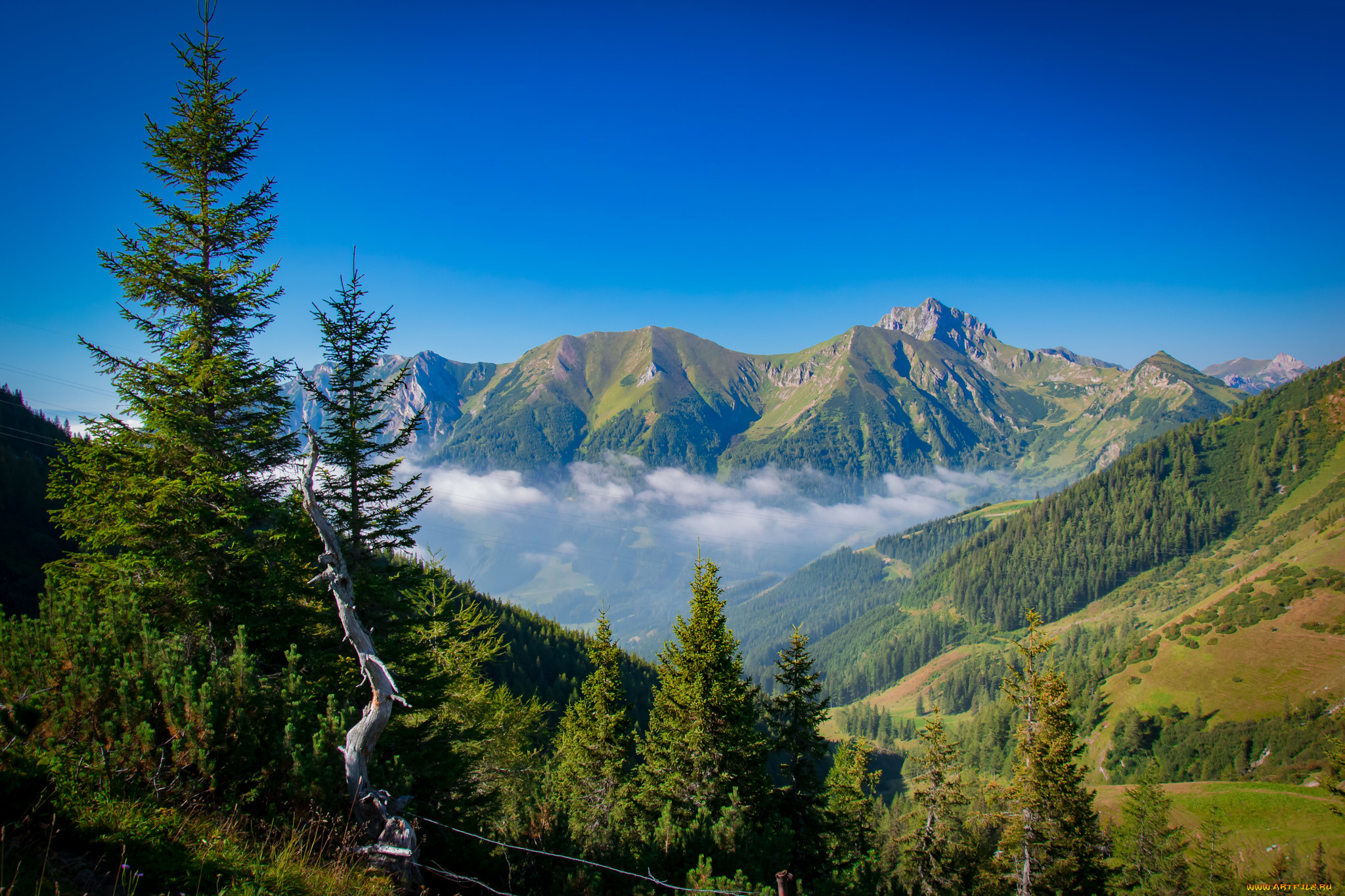 природа, горы, простор