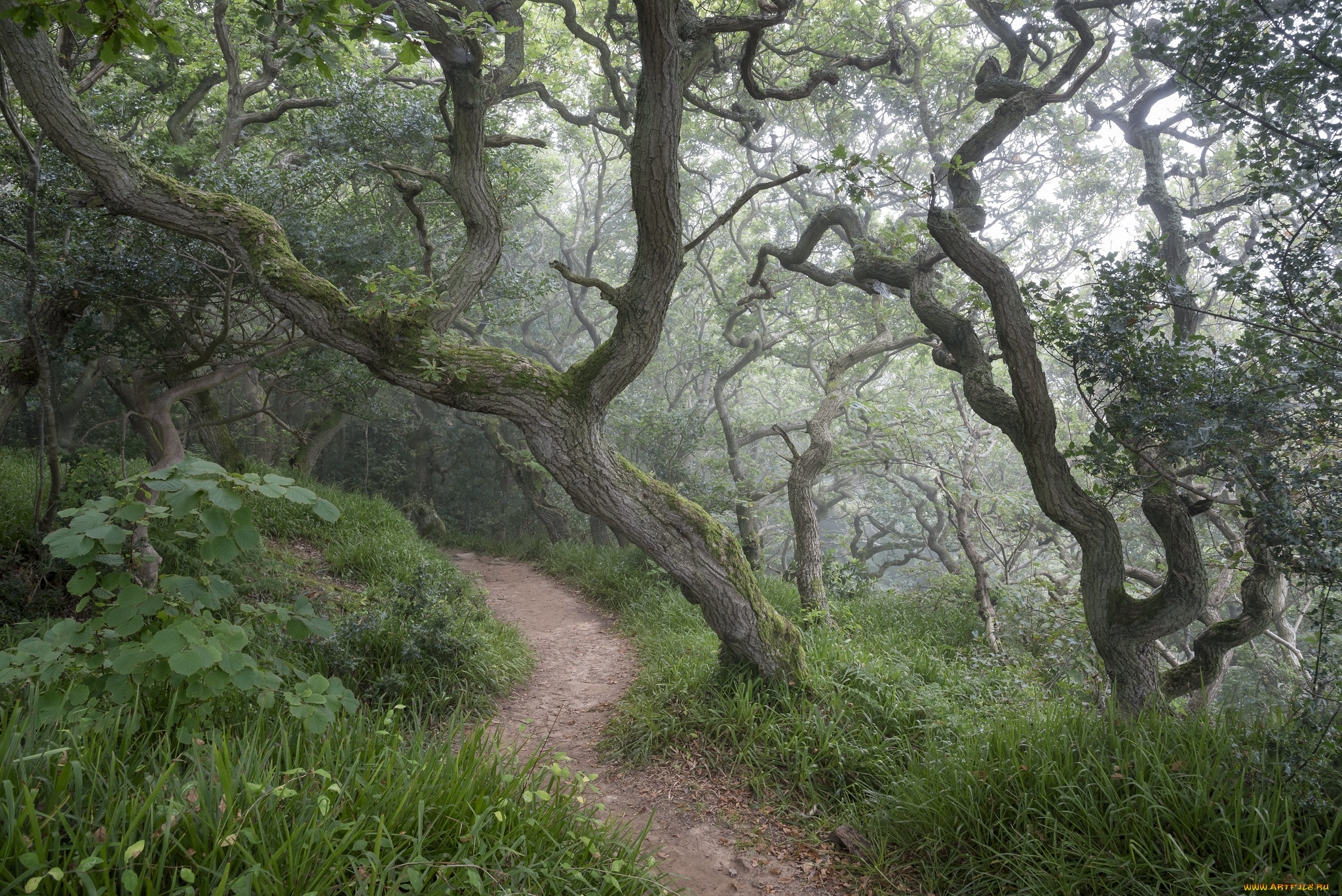 природа, дороги, простор