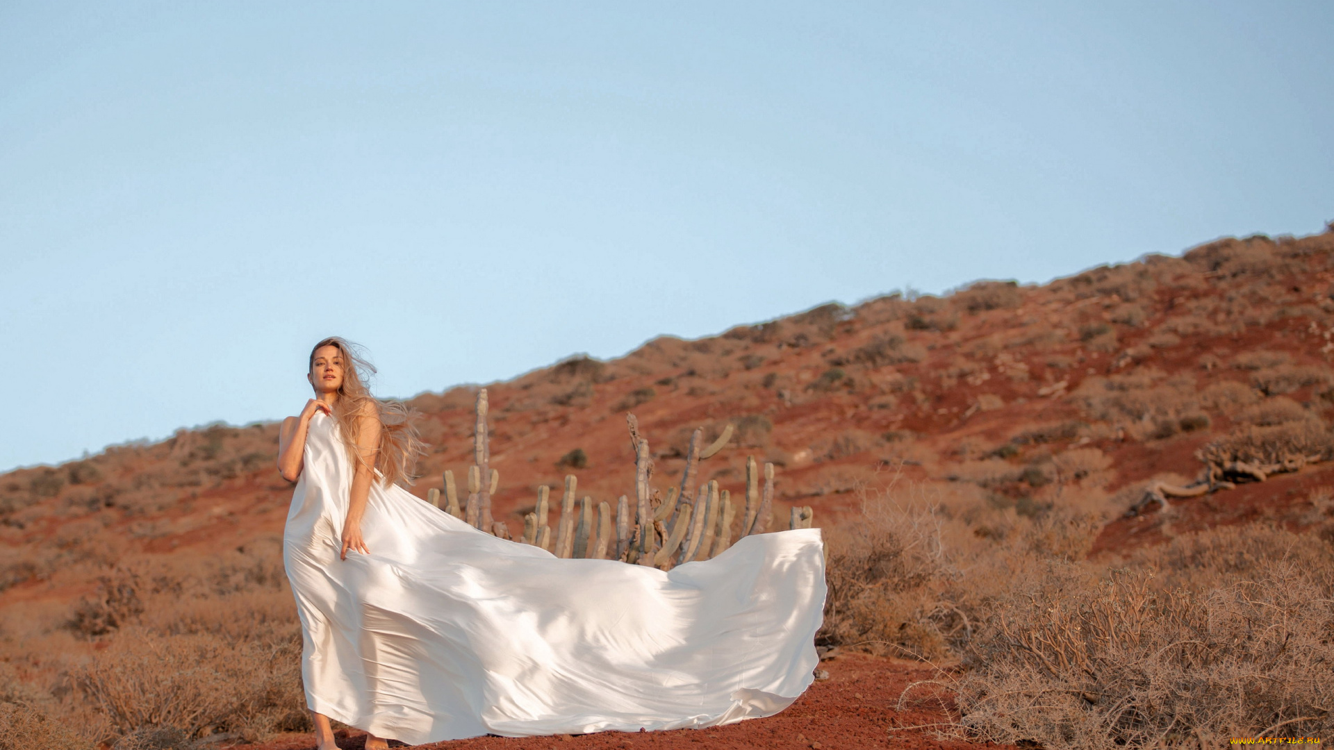 девушки, -, блондинки, , светловолосые, блондинка, кактусы, пустыня, белое, одеяние