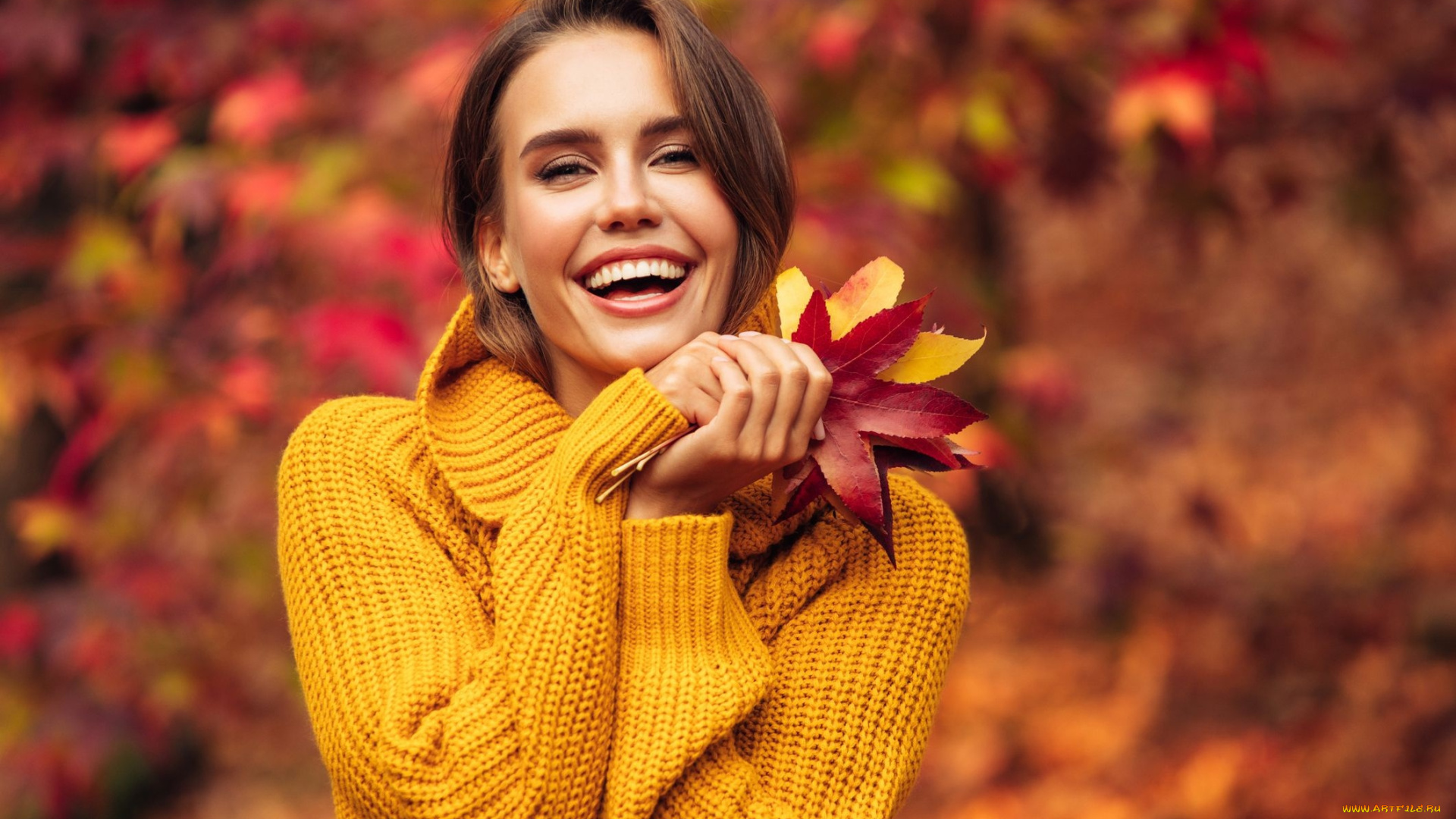 девушки, -, лица, , портреты, шатенка, свитер, листья, радость, улыбка