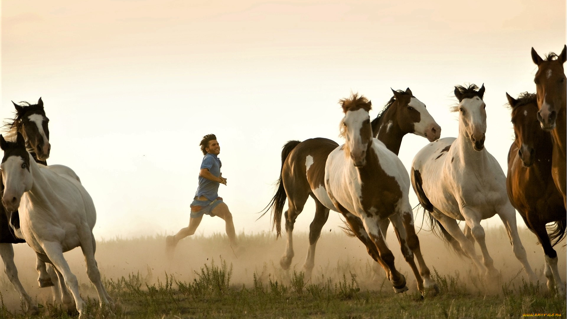 кино, фильмы, into, the, wild, мужчина, лошади, табун