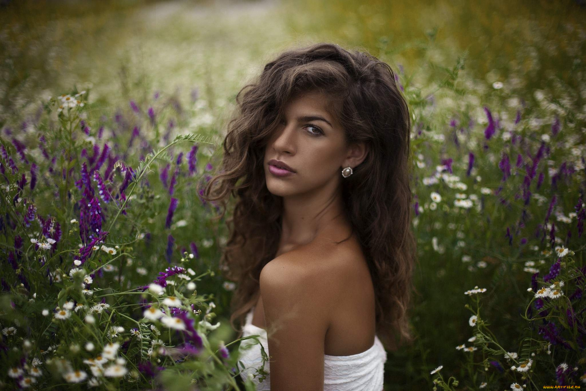 девушки, -, лица, , портреты, луг, цветы, брюнетка
