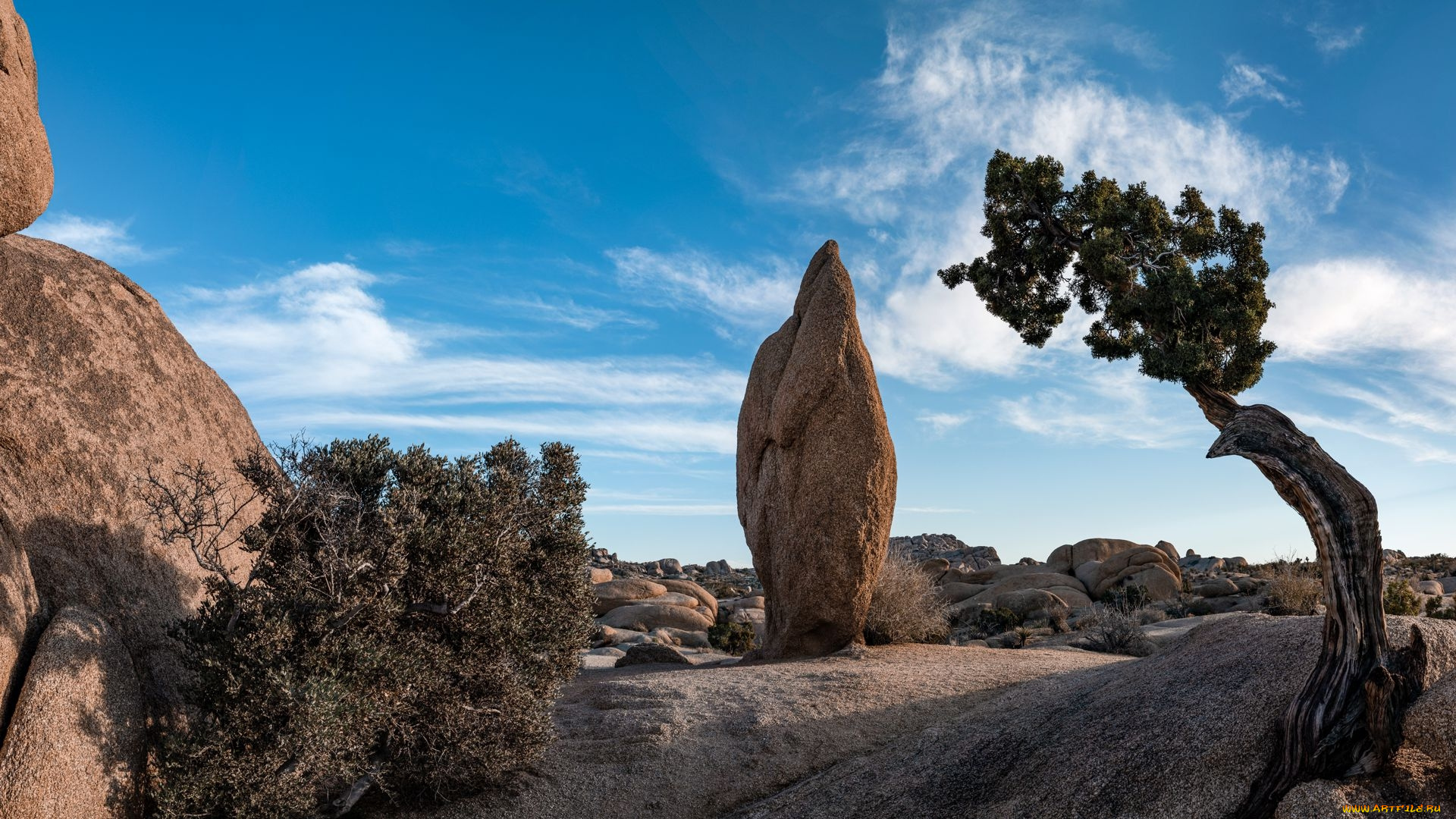 penguin, rock, panorama, joshua, tree, np, california, природа, горы, penguin, rock, panorama, joshua, tree, np