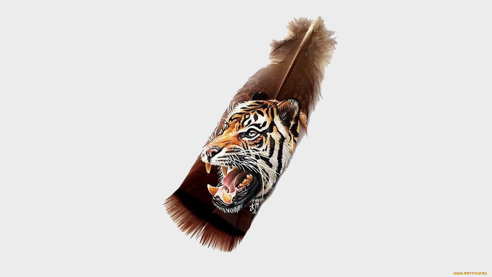 рисованное, -, другое, перо, тигр