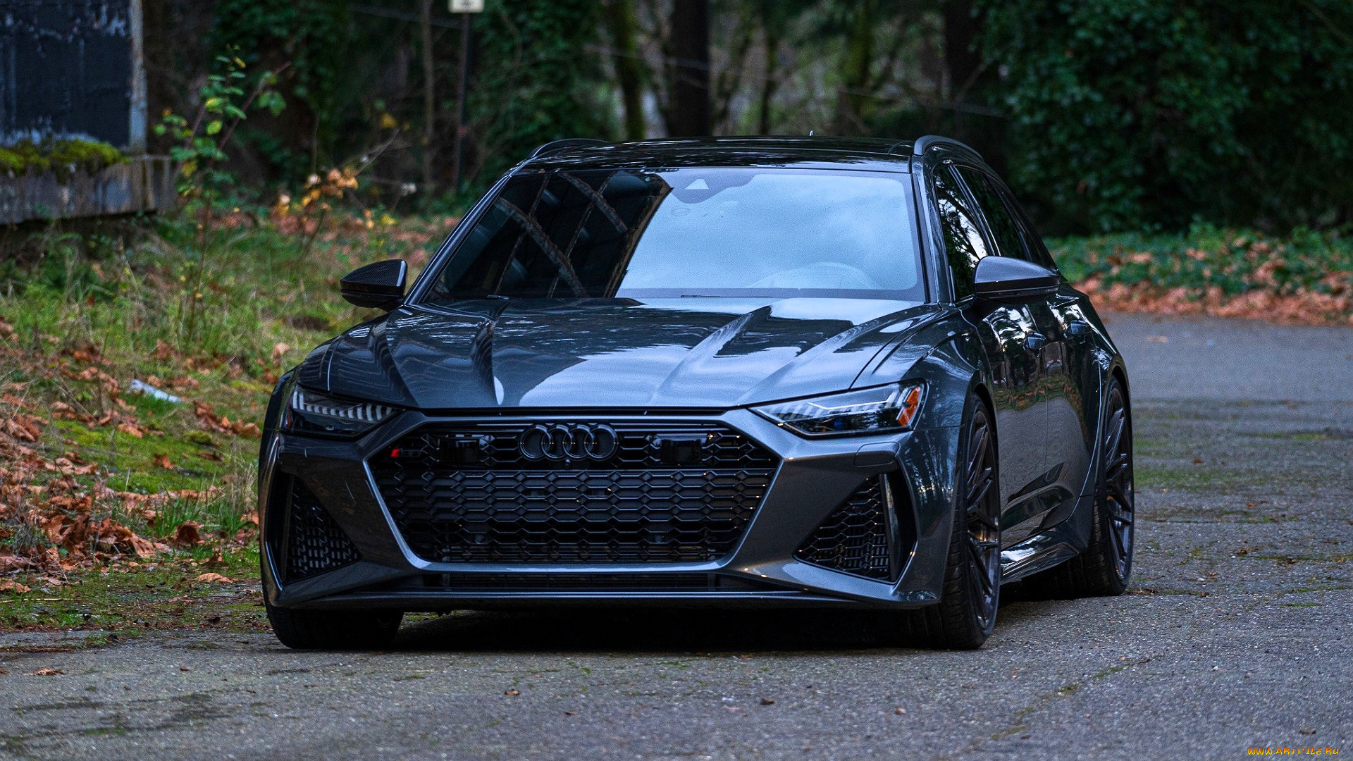 audi, rs6, автомобили, audi, черный, дорога, парк