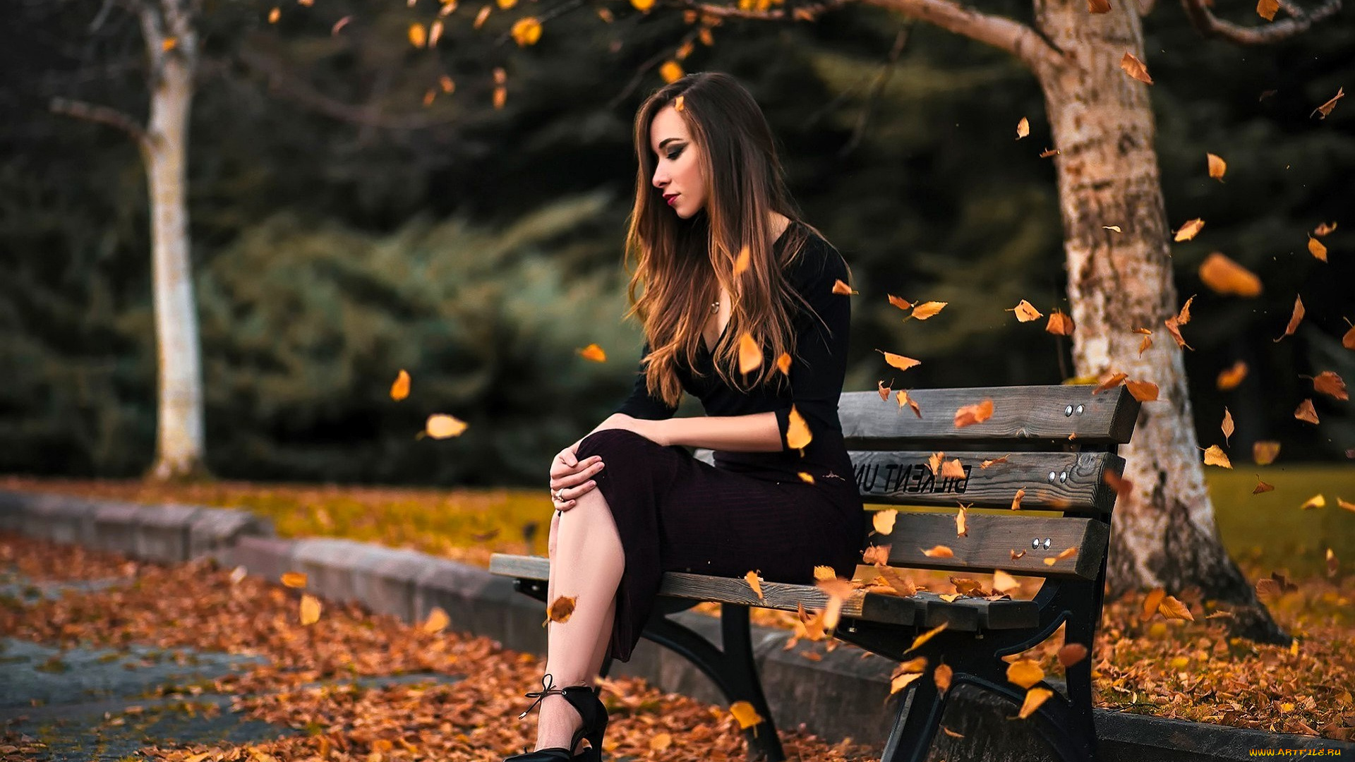 девушки, -, брюнетки, , шатенки, шатенка, платье, каблуки, листья, скамейка, дорожка, парк, лес, осень