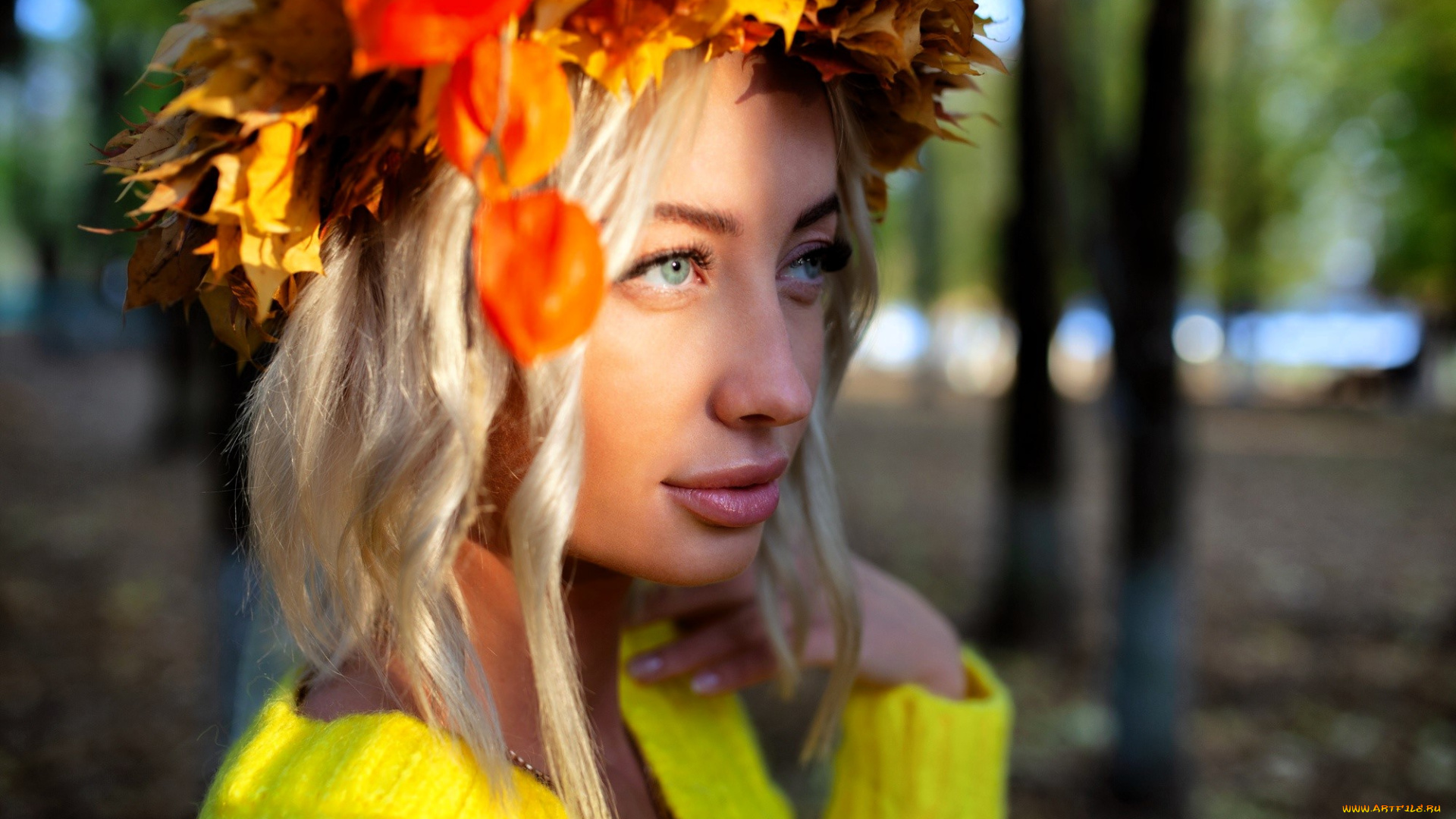 девушки, -, лица, , портреты, блондинка, лицо, свитер, венок, листья, осень