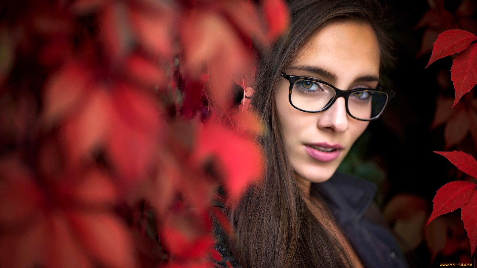 девушки, -, лица, , портреты, шатенка, лицо, очки, осень, листья