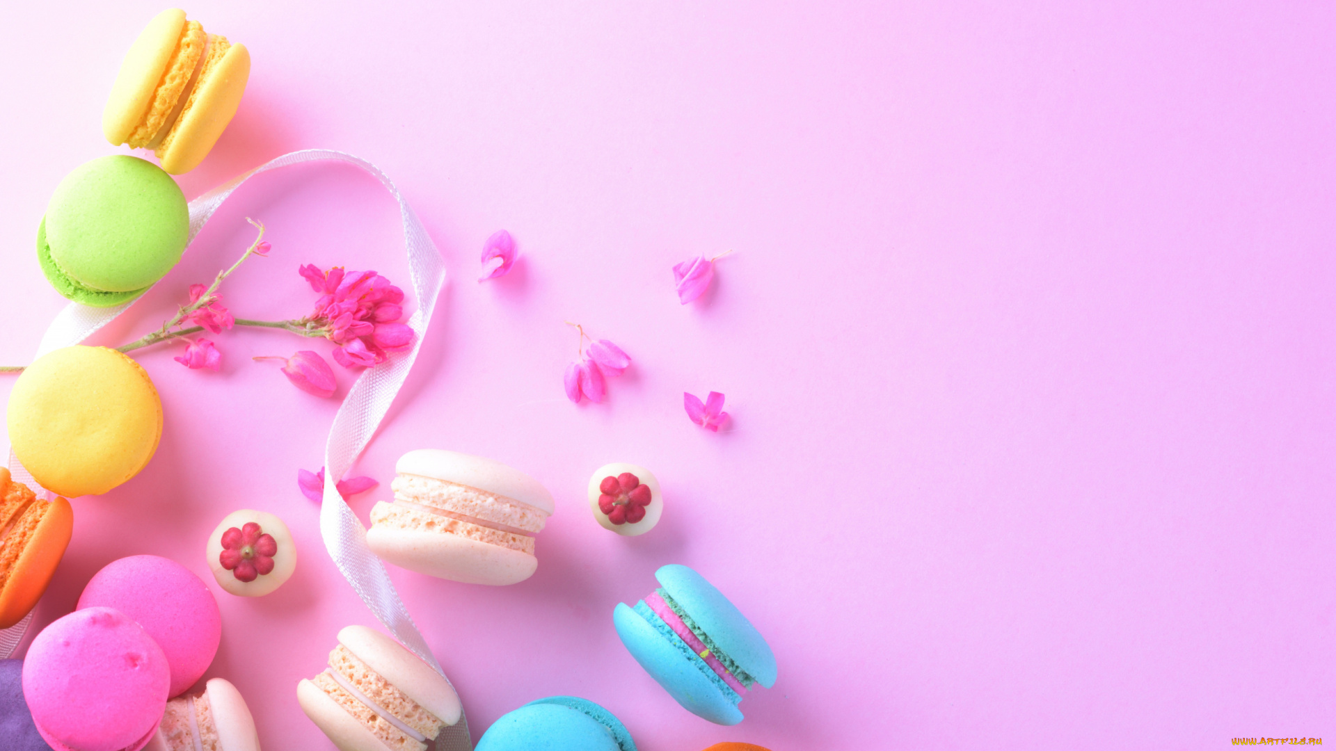 еда, макаруны, лакомство, ассорти