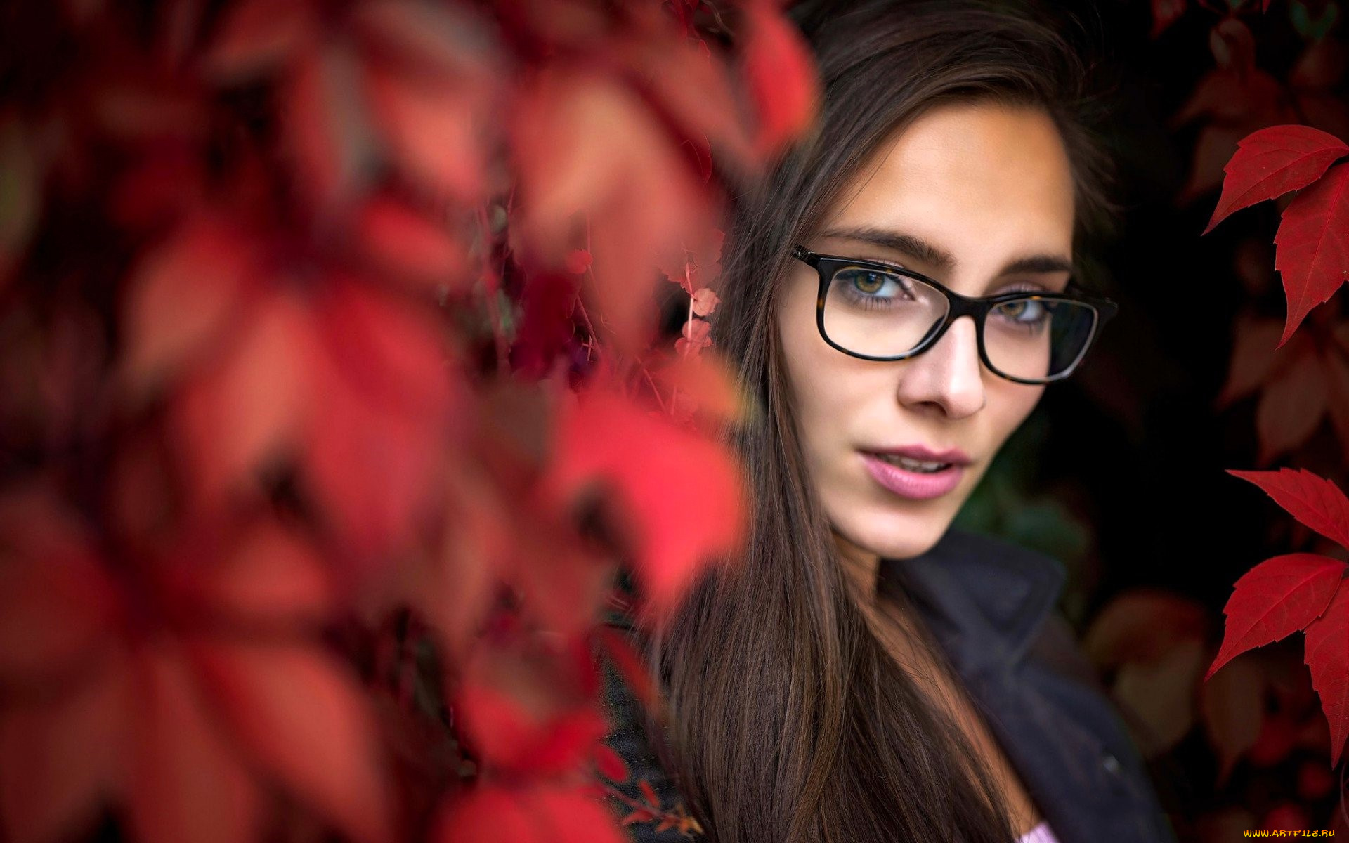 девушки, -, лица, , портреты, шатенка, лицо, очки, осень, листья