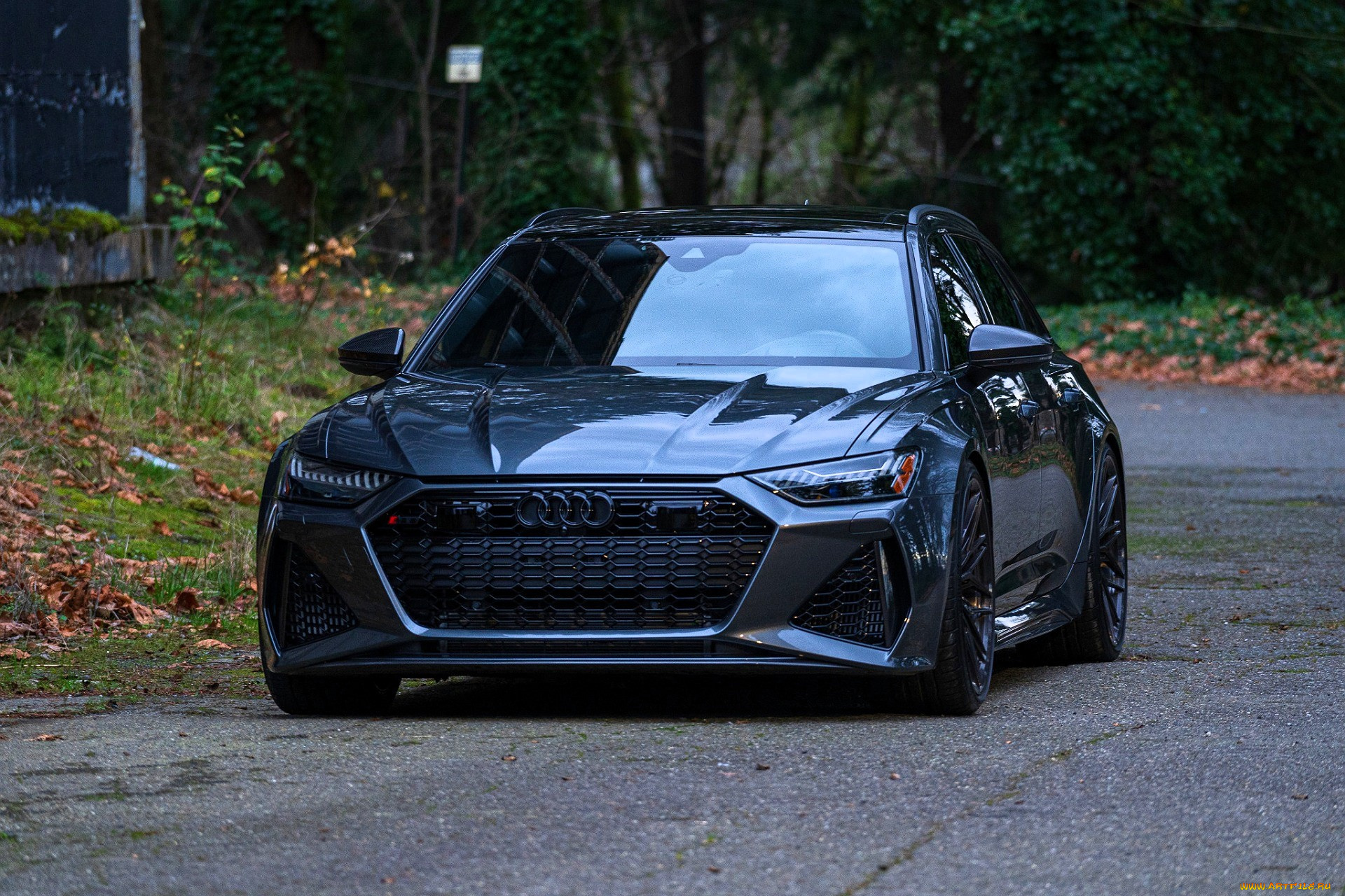 audi, rs6, автомобили, audi, черный, дорога, парк