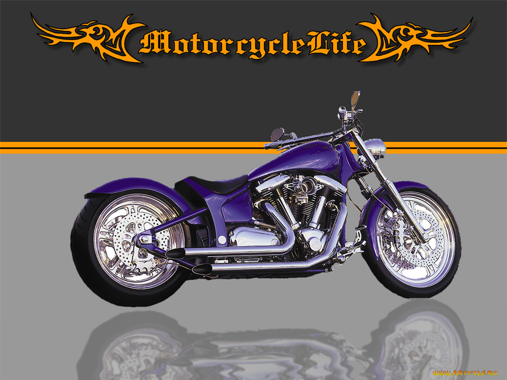 мотоциклы, customs