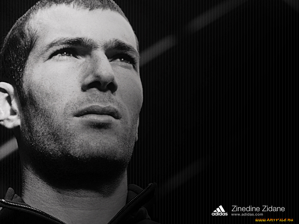 бренды, adidas