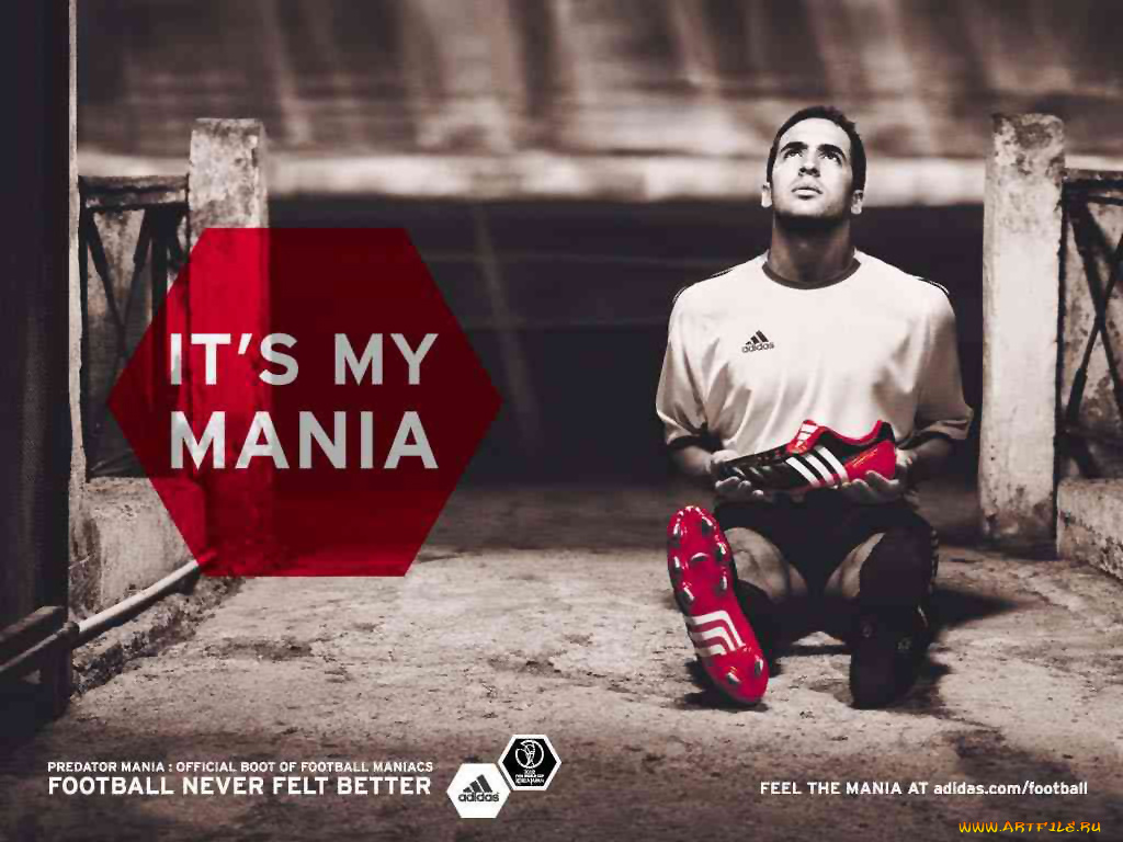 спорт, футбол