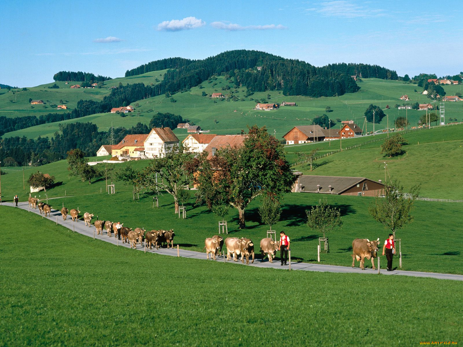 appenzell, switzerland, города