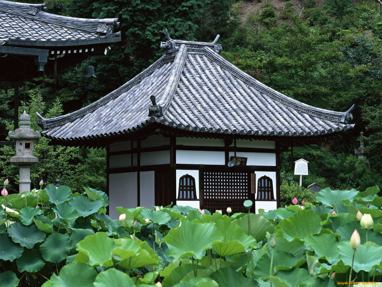 города, здания, дома