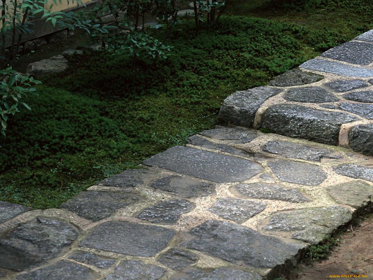 разное, другое