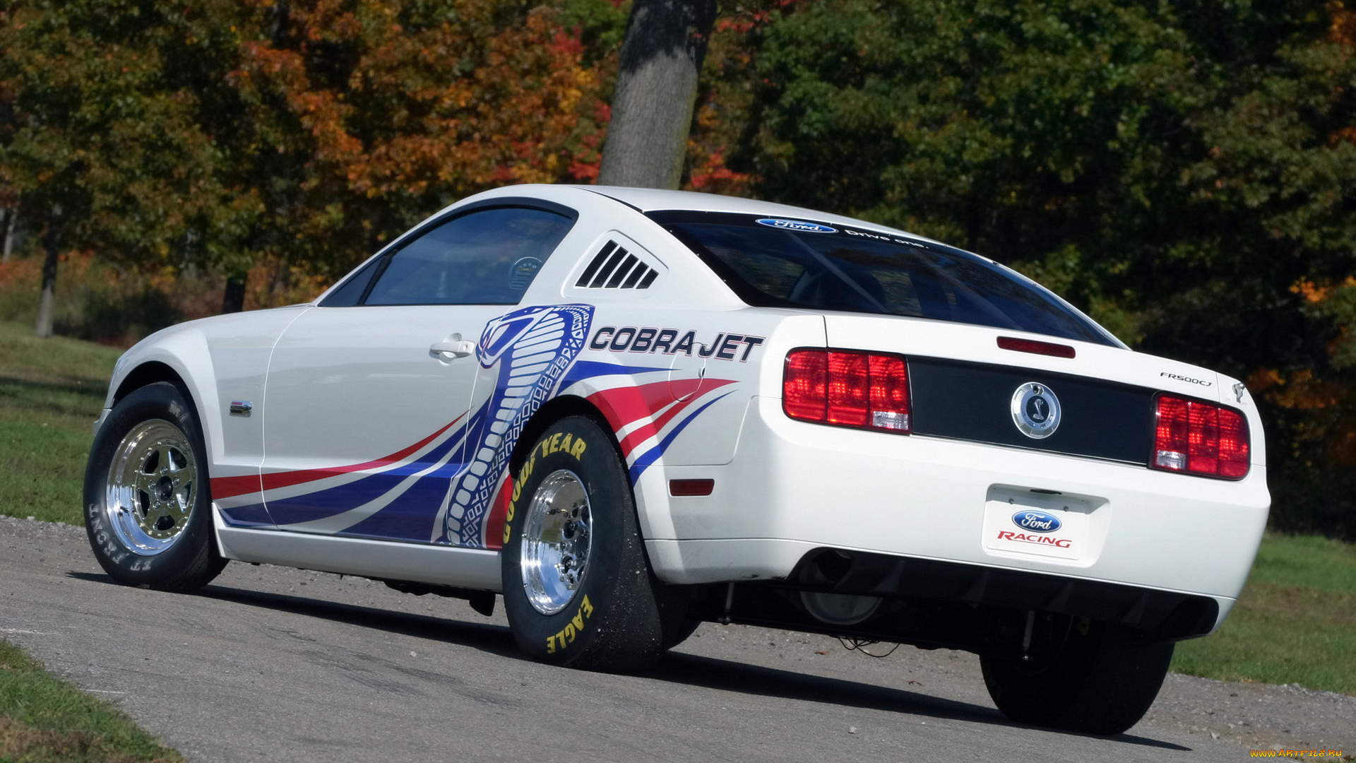 2008, ford, cobra, jet, mustang, автомобили