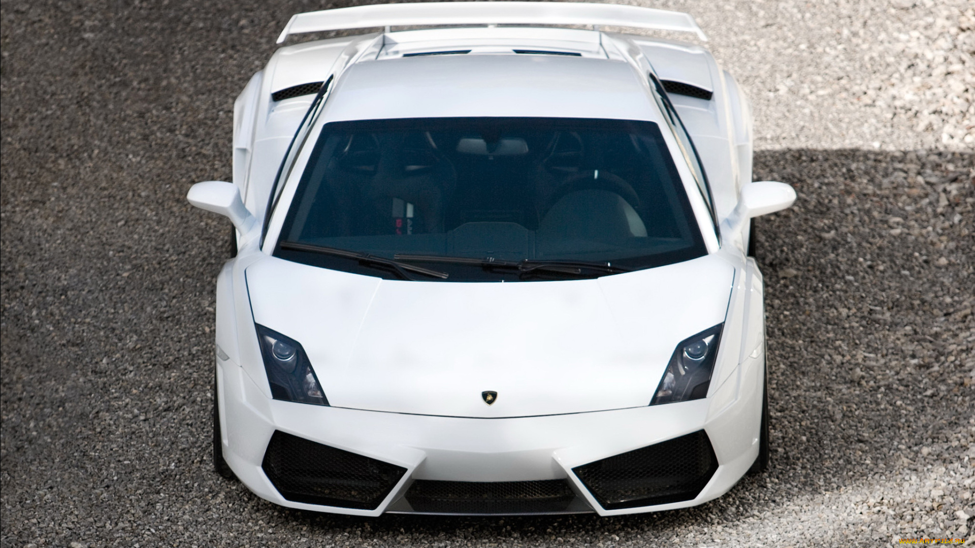 автомобили, lamborghini