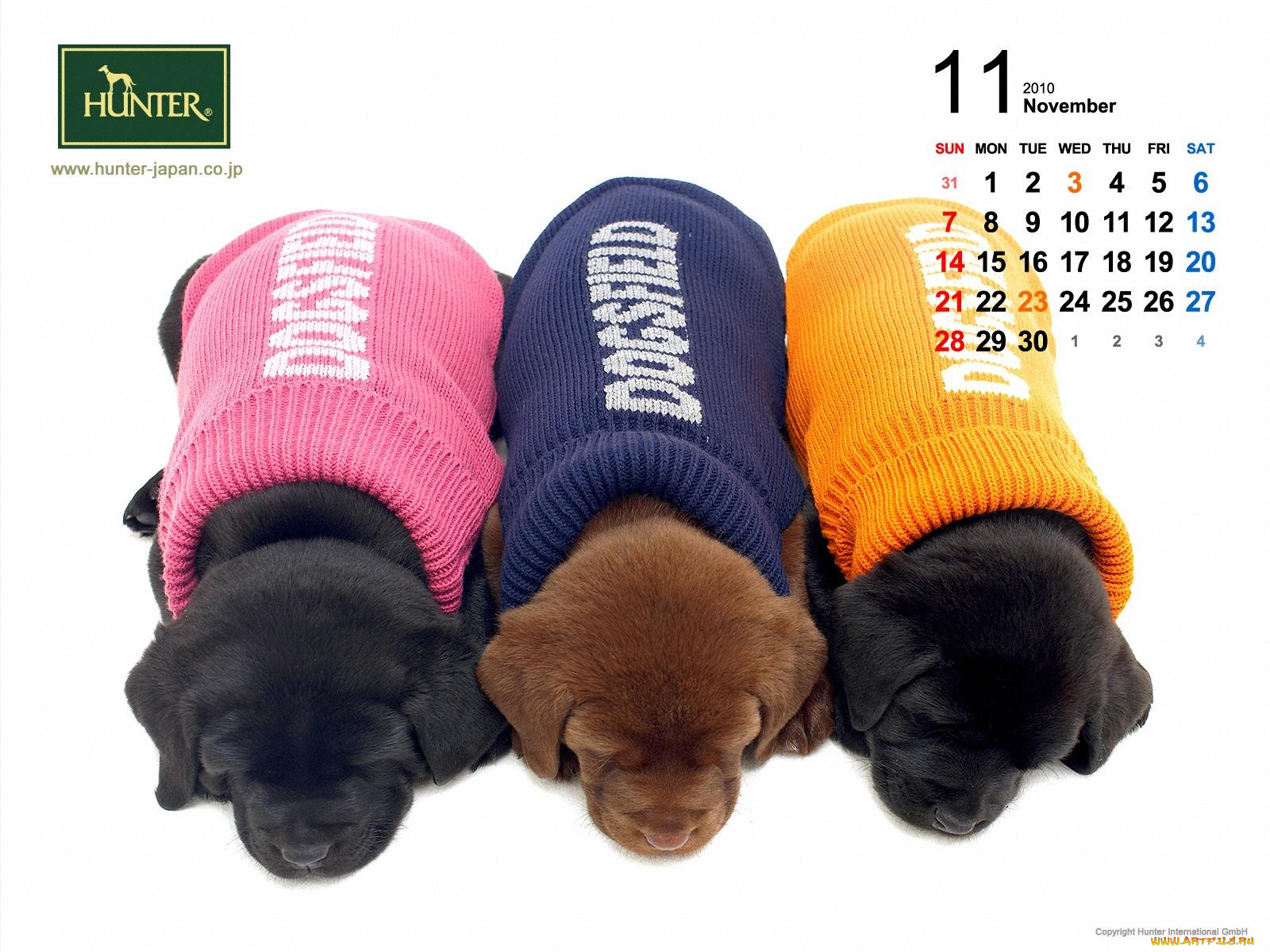 бренды, hunter