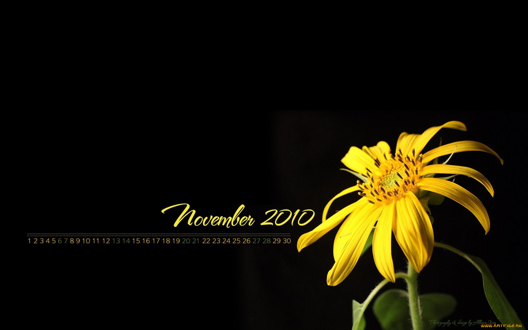 календари, цветы